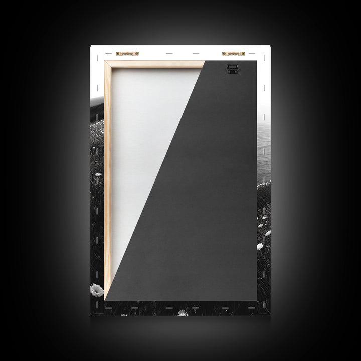 Daisy Cliffside Bloom, Coastal Flowers, Peaceful Nature Scene, Framed Canvas Print, Bedroom Wall Art, Botanical Decor, Minimalist Style