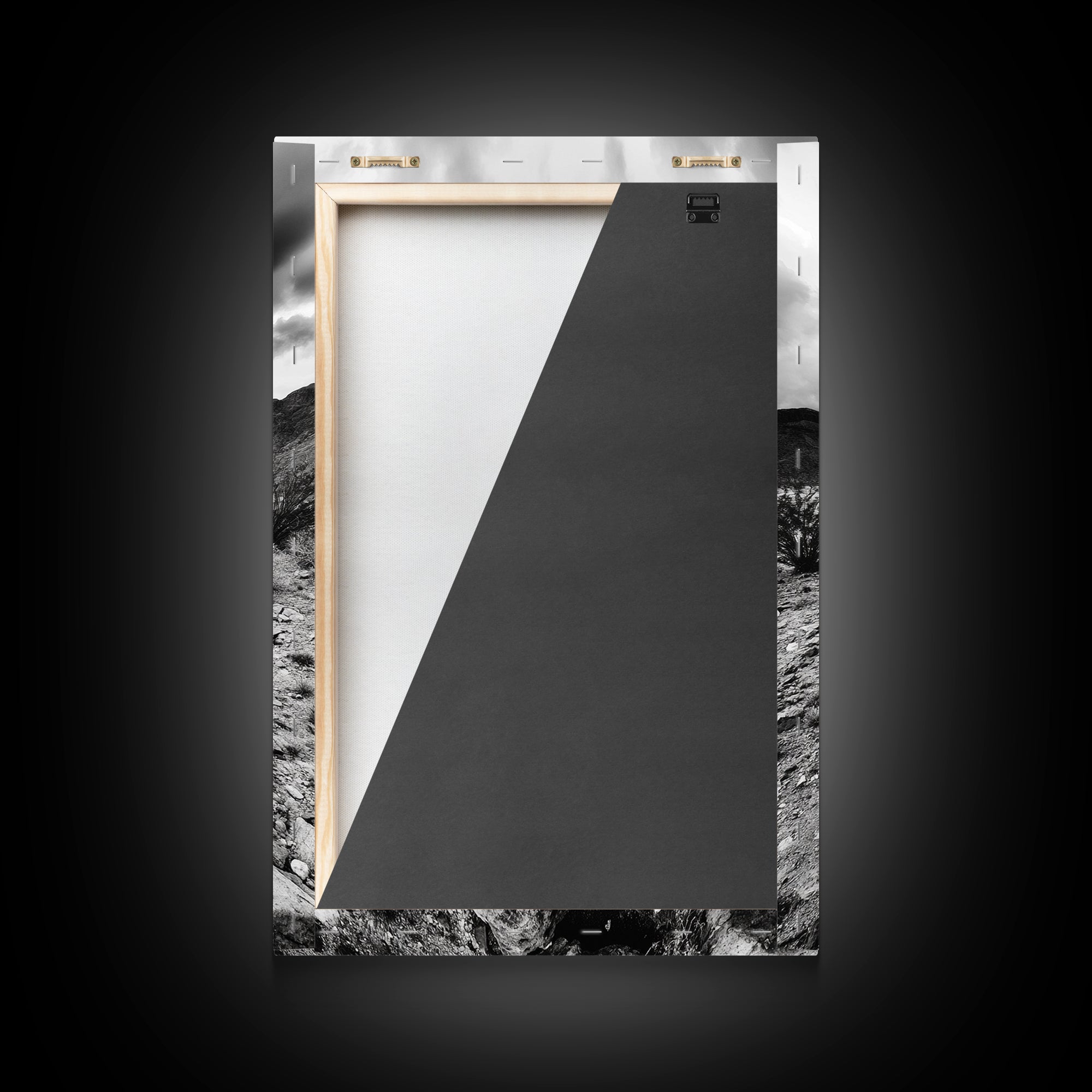 Desert Storm, Cactus Scene, Black White Art, Canvas Print, Southwest Wall Art, Earthy Tones Decor, Boho Style, Entryway Wall Accent