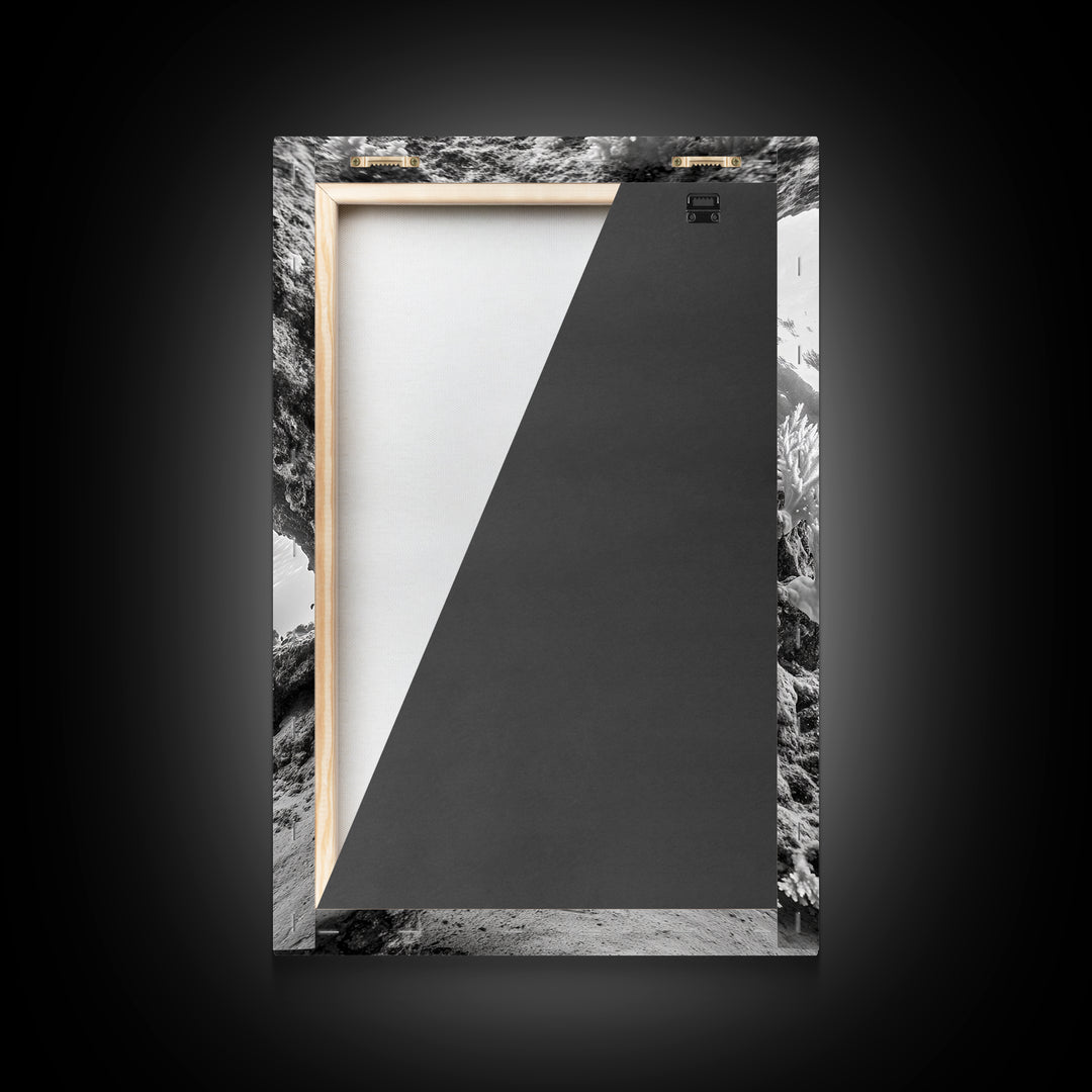 Coral Reef Underwater, Ocean Photography, Marine Nature Scene, Framed Canvas Print, Bathroom Wall Art, Coastal Minimalist Decor