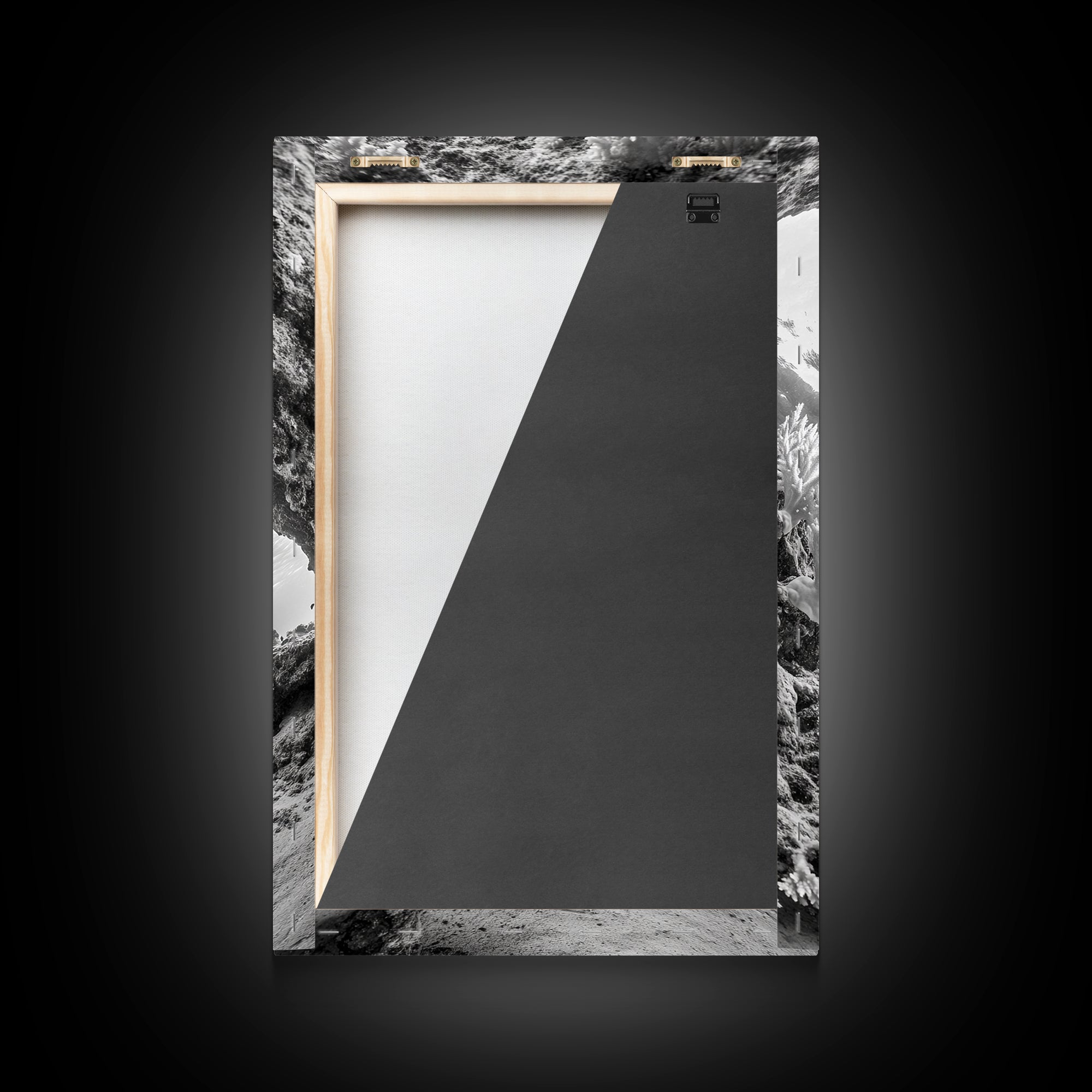 Coral Reef Underwater, Ocean Photography, Marine Nature Scene, Framed Canvas Print, Bathroom Wall Art, Coastal Minimalist Decor