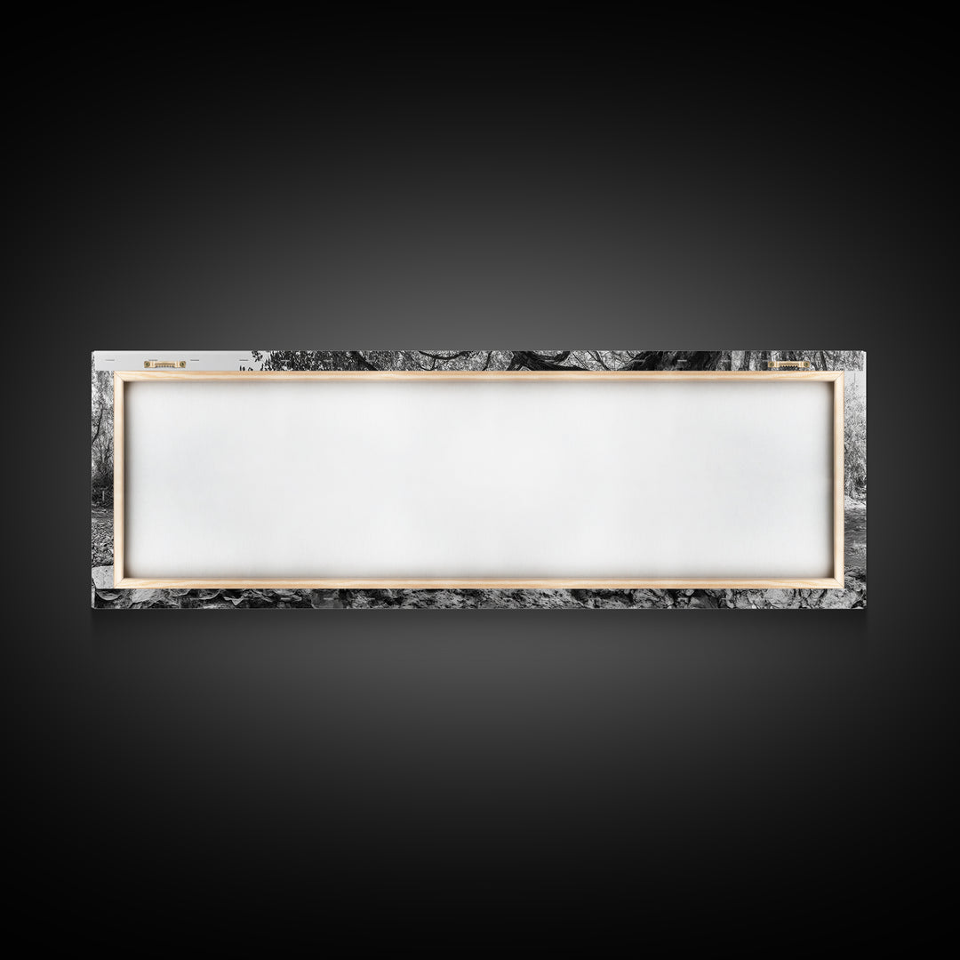 River Tree Roots, Tranquil Forest Landscape, Nature Wall Decor, Framed Canvas Print, Living Room Art, Black and White Earthy Style