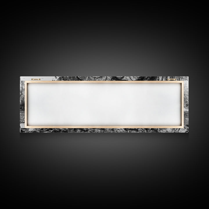 River Tree Roots, Tranquil Forest Landscape, Nature Wall Decor, Framed Canvas Print, Living Room Art, Black and White Earthy Style