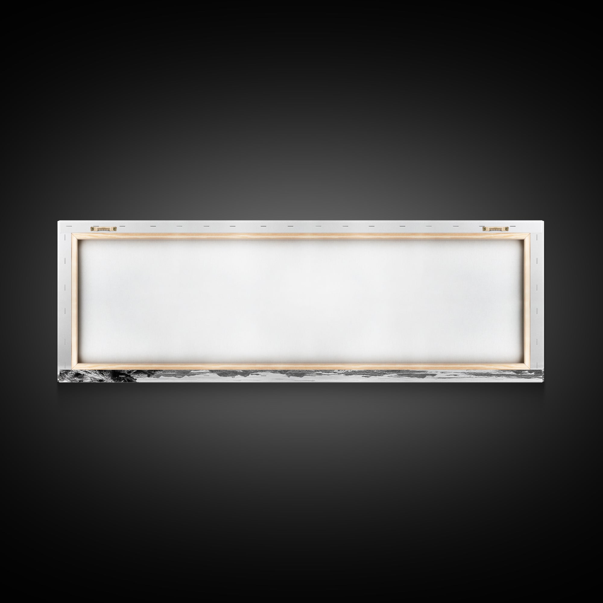 Bald Eagle, Tree Perch, Foggy Coast, Framed Canvas Print, Wildlife Photography, Cabin Wall Art, Rustic Minimalist Decor