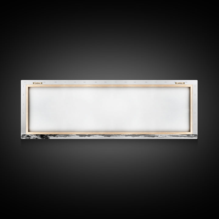 Bald Eagle, Tree Perch, Foggy Coast, Framed Canvas Print, Wildlife Photography, Cabin Wall Art, Rustic Minimalist Decor