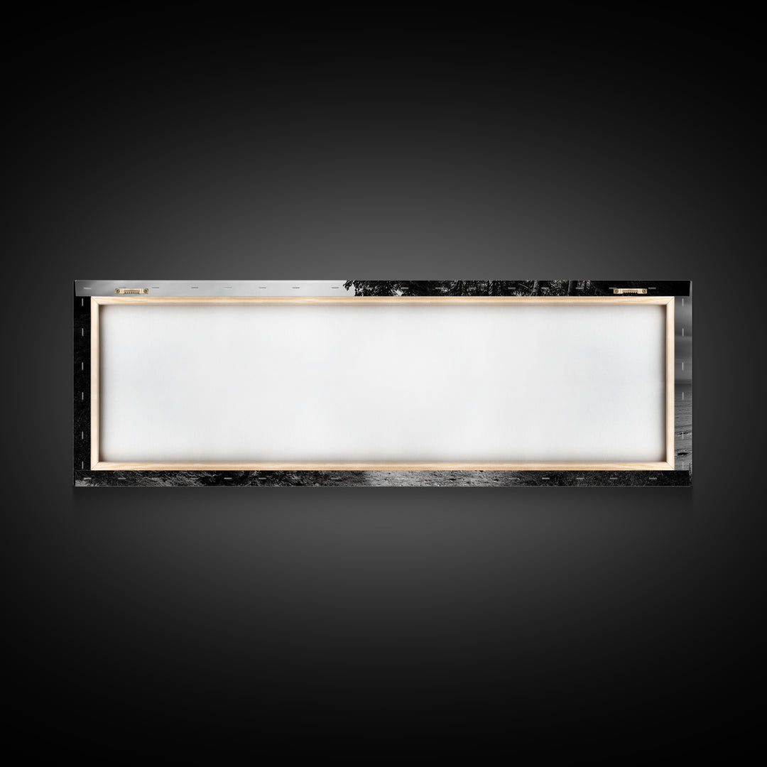 Coastal Trail, Forest Edge, Serene Path, Canvas Print, Black and White Nature Art, Entryway Wall Art, Tranquil Landscape, Moody Decor