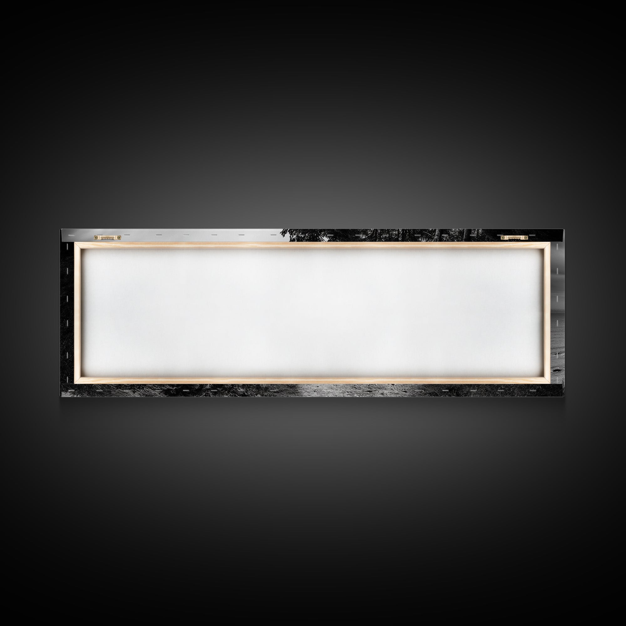 Coastal Trail, Forest Edge, Serene Path, Canvas Print, Black and White Nature Art, Entryway Wall Art, Tranquil Landscape, Moody Decor