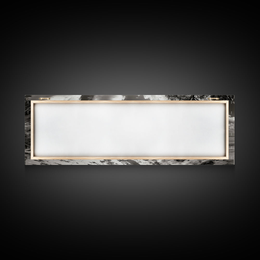 Coastal Tree Roots, Windswept Beach, Natural Form, Framed Canvas Print, Boho Wall Art, Entryway Decor, Beach House Aesthetic