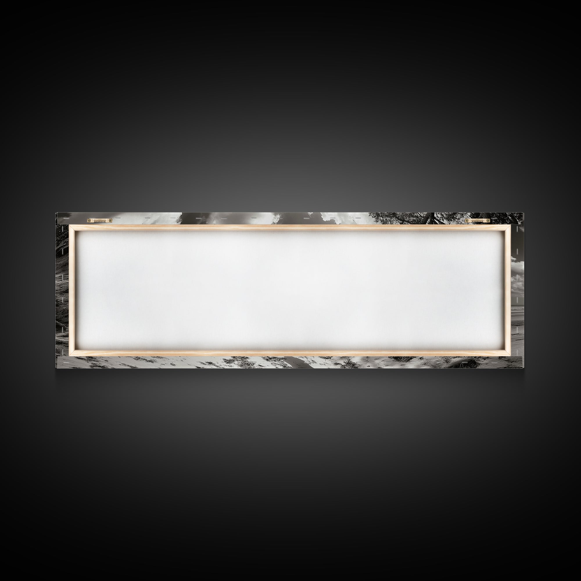 Coastal Tree Roots, Windswept Beach, Natural Form, Framed Canvas Print, Boho Wall Art, Entryway Decor, Beach House Aesthetic