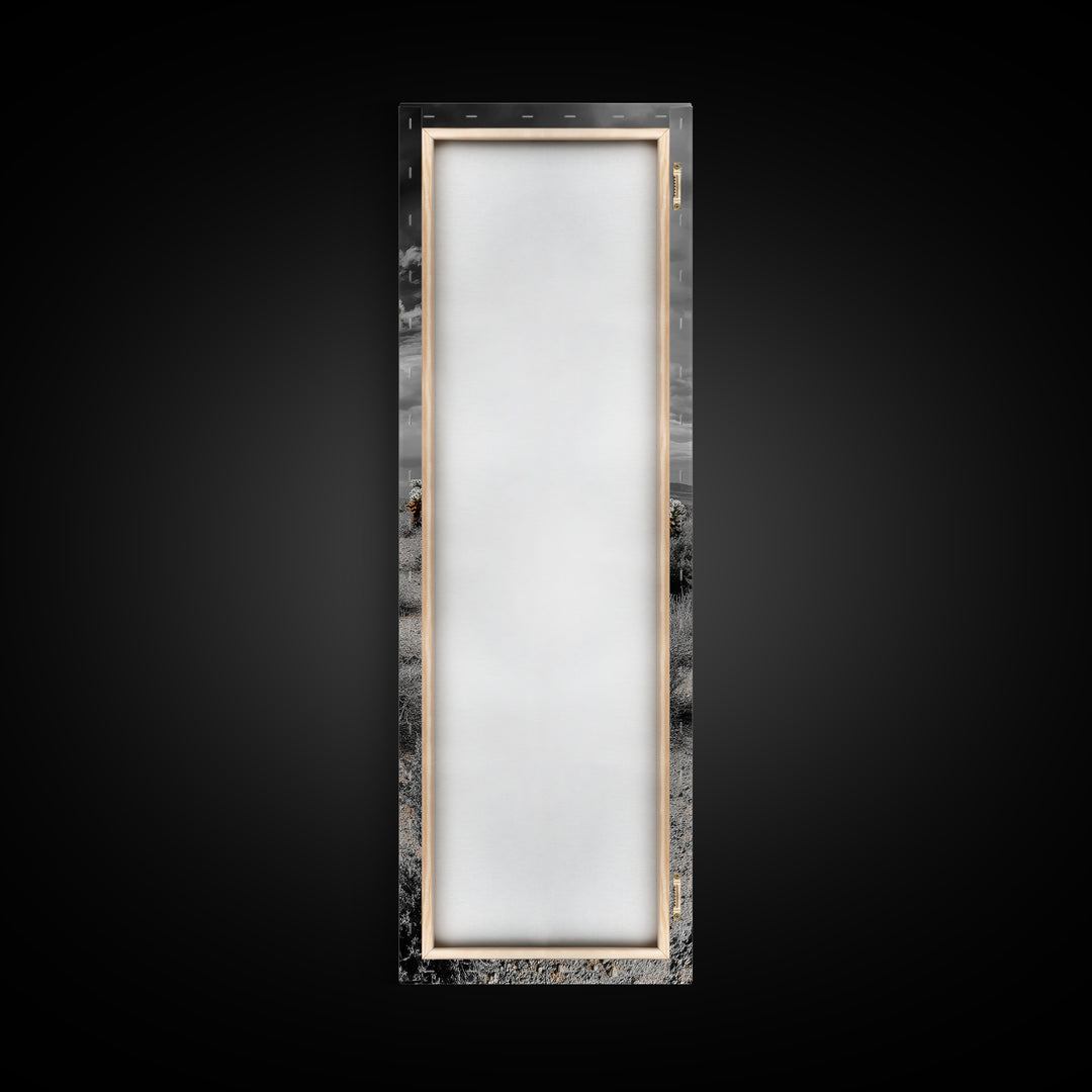 Cholla Cactus Desert, Southwestern Nature Scene, Spiky Plant Decor, Framed Canvas Print, Minimalist Boho Art, Sunroom or Entryway Style