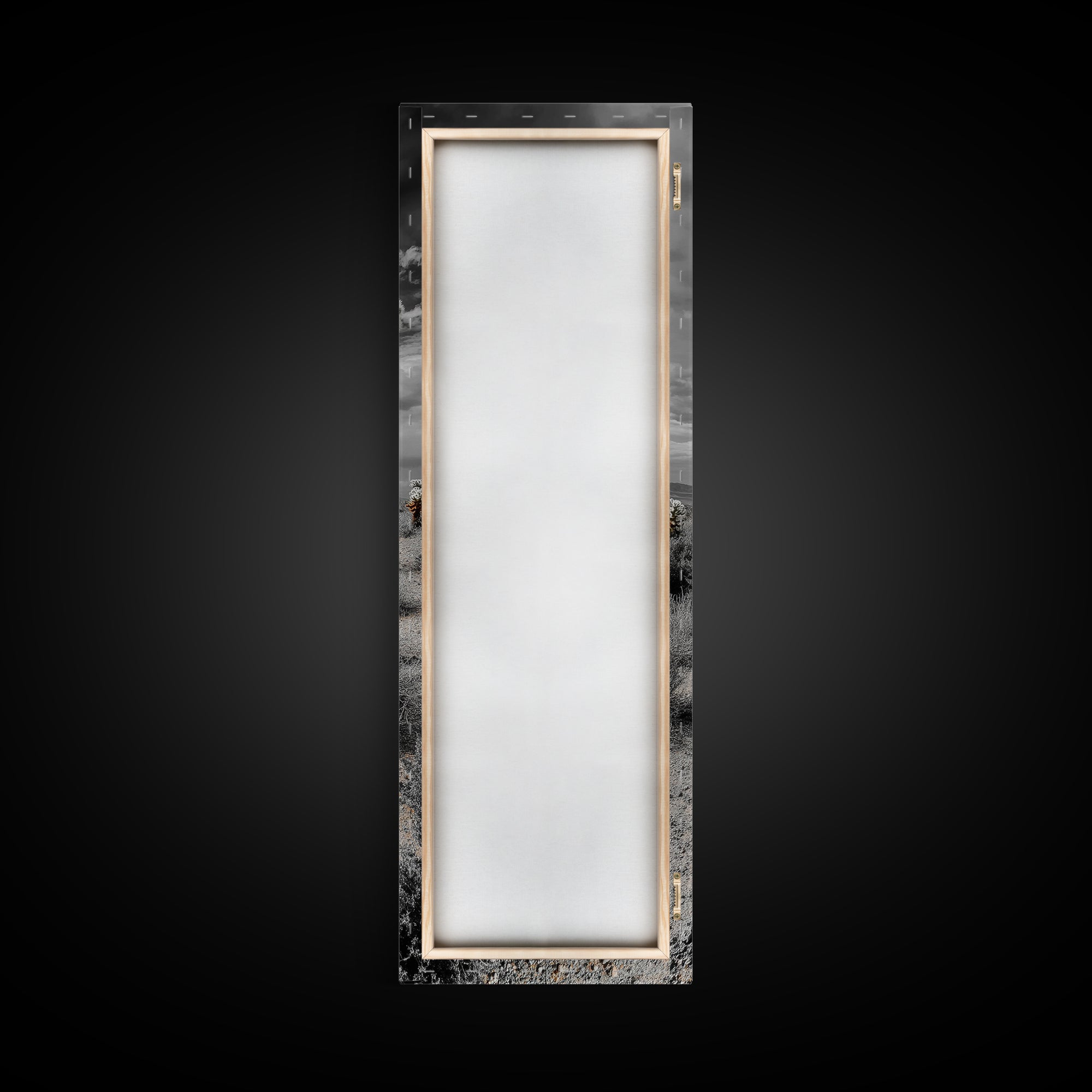 Cholla Cactus Desert, Southwestern Nature Scene, Spiky Plant Decor, Framed Canvas Print, Minimalist Boho Art, Sunroom or Entryway Style