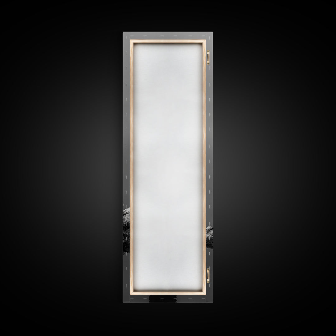 Cormorant Bird, Coastal Bird Art, Water Bird, Minimal Nature Art, Black and White Wildlife, Framed Canvas Print, Modern Entryway Wall Art