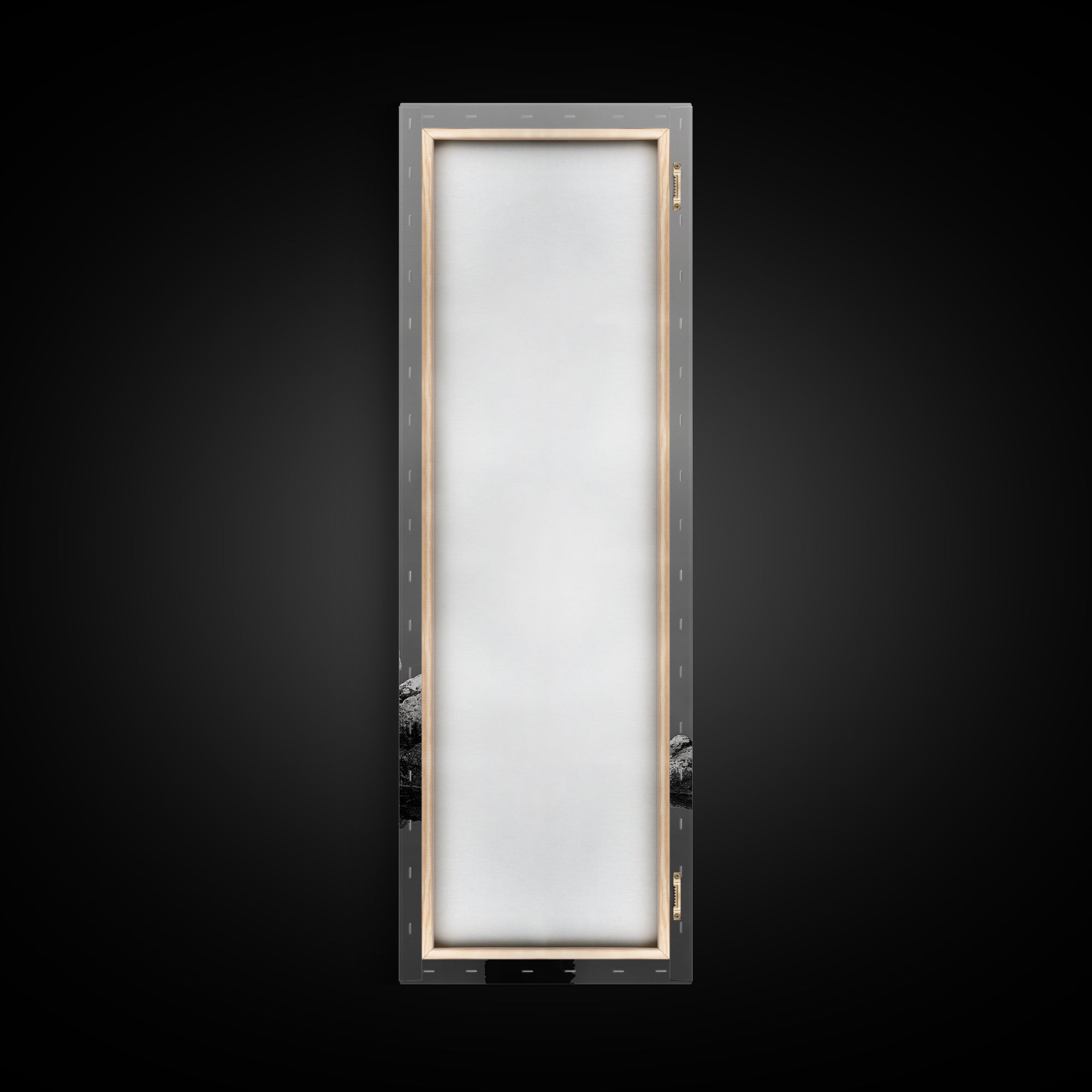 Cormorant Bird, Coastal Bird Art, Water Bird, Minimal Nature Art, Black and White Wildlife, Framed Canvas Print, Modern Entryway Wall Art