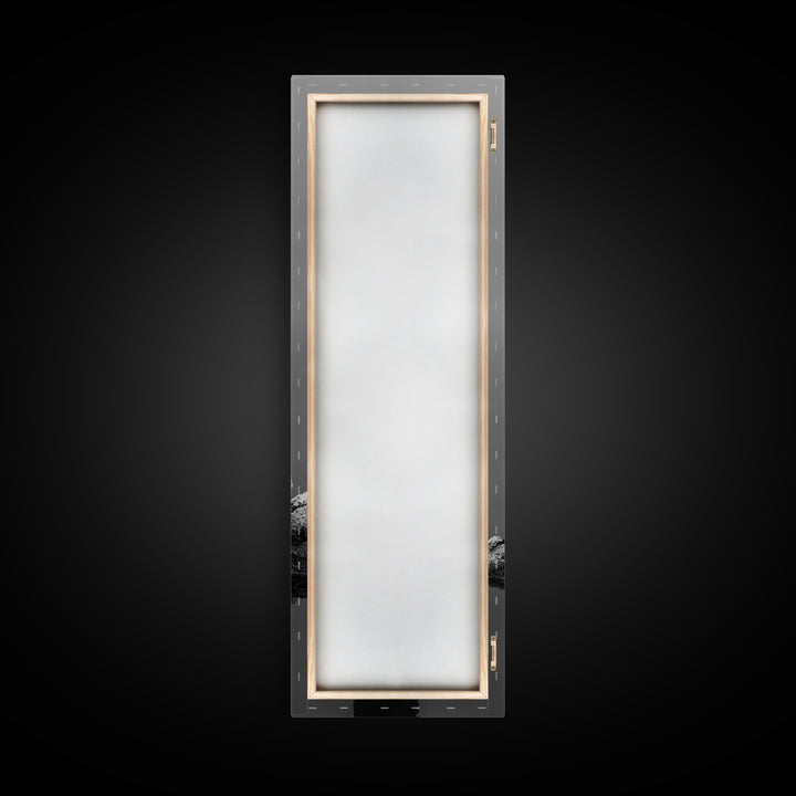 Cormorant Bird, Coastal Bird Art, Water Bird, Minimal Nature Art, Black and White Wildlife, Framed Canvas Print, Modern Entryway Wall Art