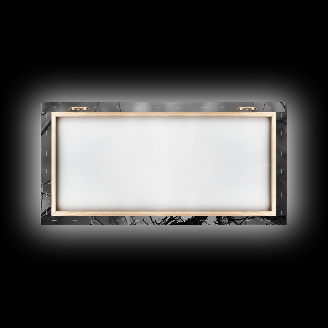 Bald Eagle, Monochrome Nature, Wildlife Photography, Fierce Majesty, Framed Canvas Print, Office Wall Art, Black White Bold Bird Scene