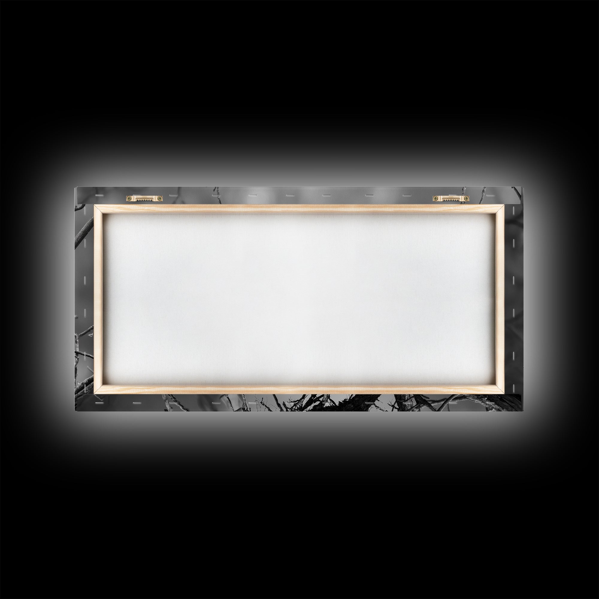 Bald Eagle, Monochrome Nature, Wildlife Photography, Fierce Majesty, Framed Canvas Print, Office Wall Art, Black White Bold Bird Scene