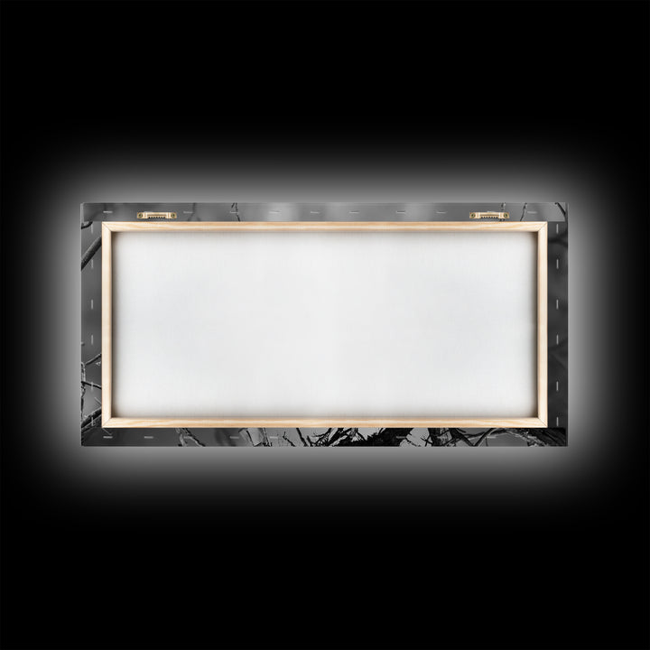 Bald Eagle, Monochrome Nature, Wildlife Photography, Fierce Majesty, Framed Canvas Print, Office Wall Art, Black White Bold Bird Scene