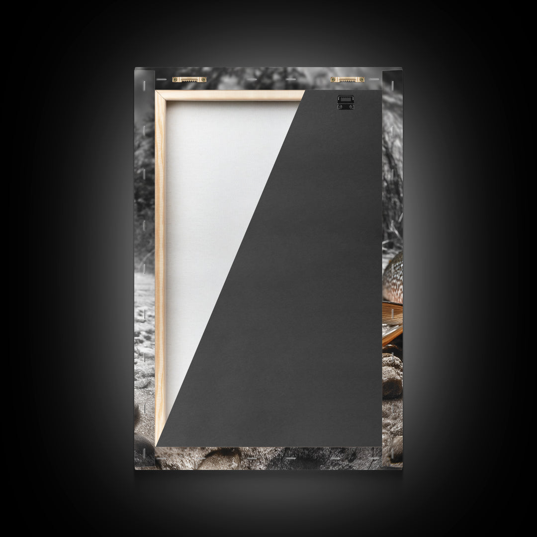 Brown Trout Closeup, Riverbed Focus, Dramatic Fish Art, Framed Canvas Print, Fisherman Gift, Cabin Wall Art, Rustic Outdoor Decor