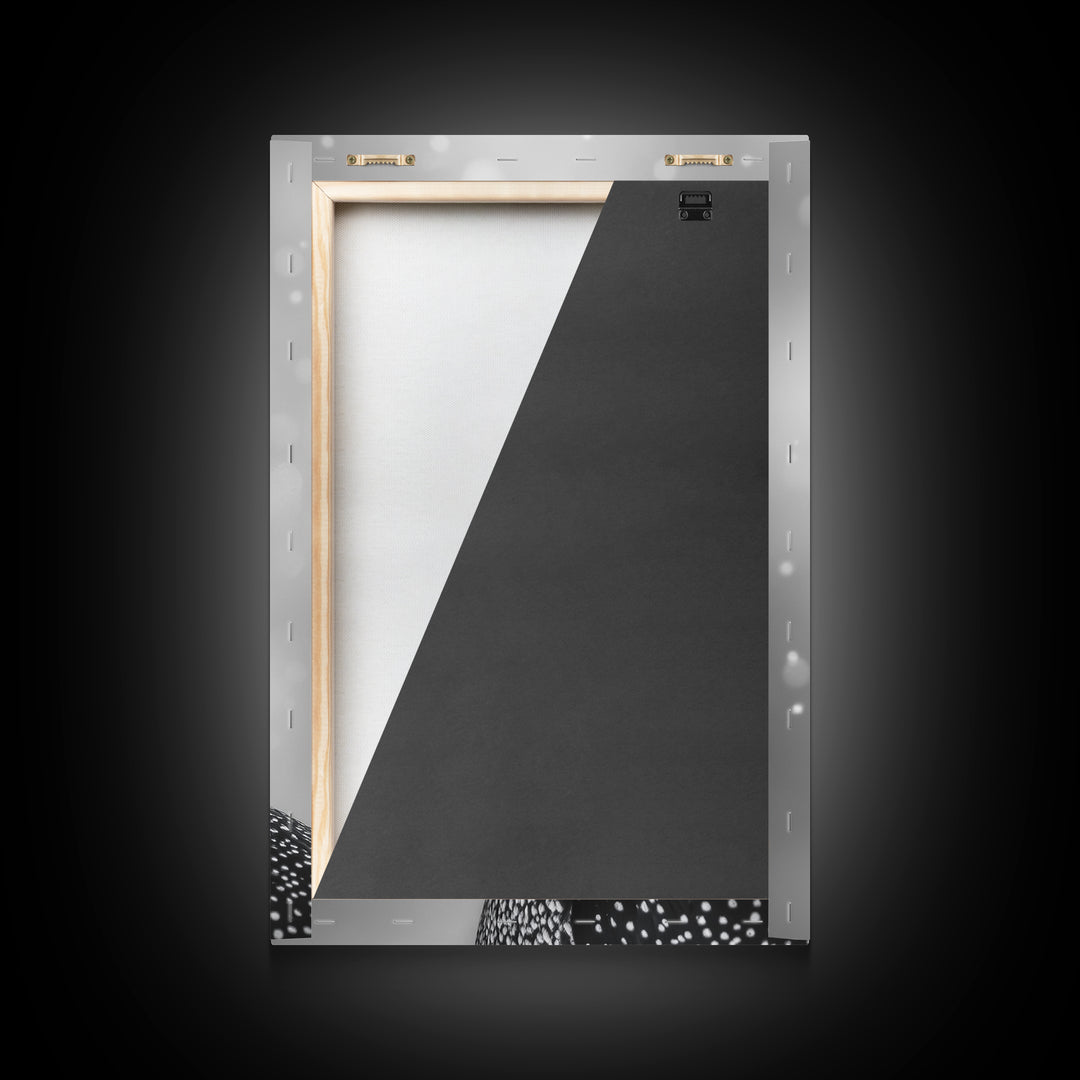 Black Loon, Bird Closeup, Snowy Glow, Winter Nature Canvas Print, Wildlife Wall Art, Modern Bedroom Decor, Birdwatcher Gift Print