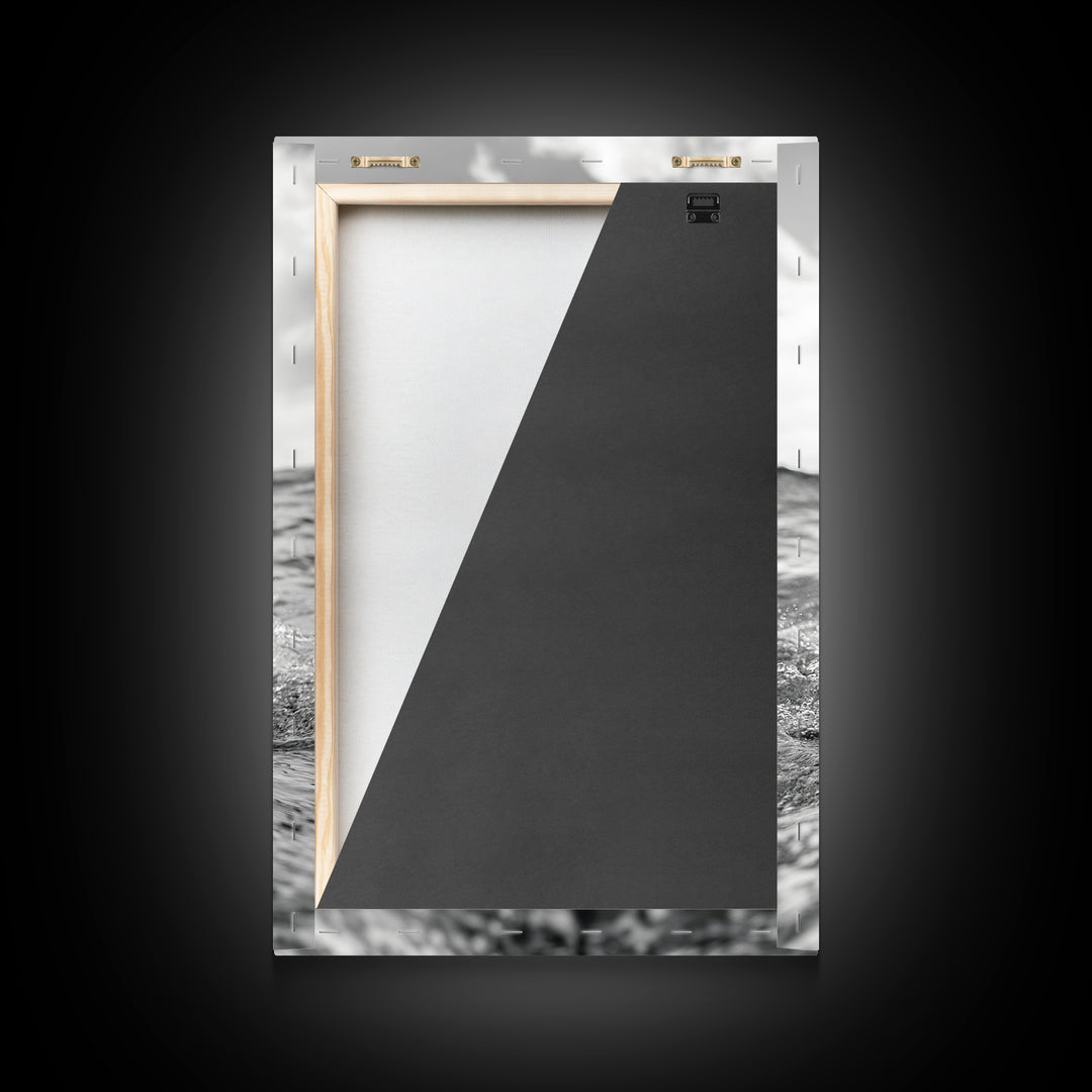 Dolphin Splash, Ocean Encounter, Monochrome Wildlife, Canvas Print, Coastal Wall Art, Bathroom Decor, Marine Animal Photography