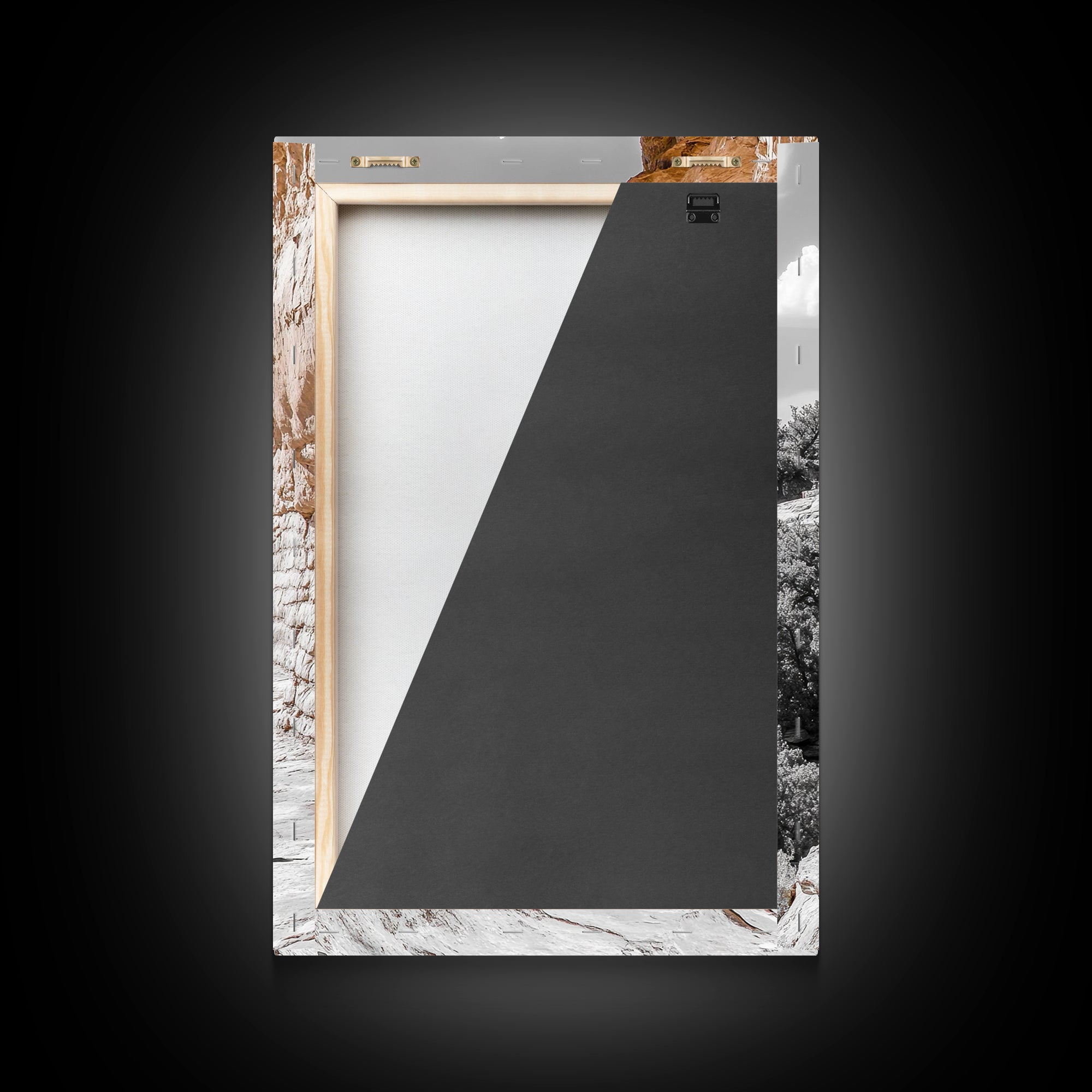 Desert Ruins, Black Bird, Ancient Architecture, Canvas Print, Historical Wall Art, Southwestern Decor, Moody Earth Tones, Living Room Art