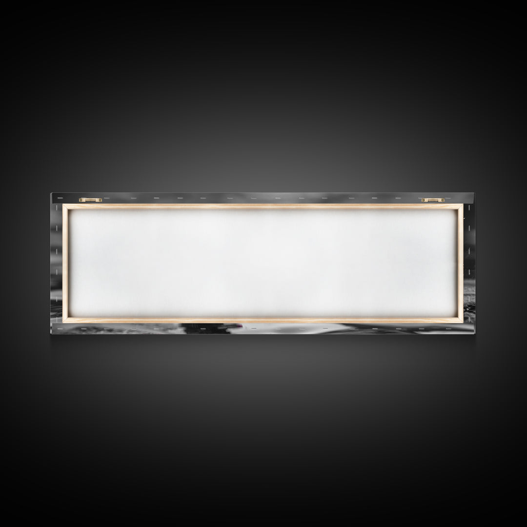 Colorful Loon, Rainbow Feathers, Water Splash, Unique Wildlife, Framed Canvas Print, Bathroom Wall Art, Eclectic Style, Birdwatcher Gift