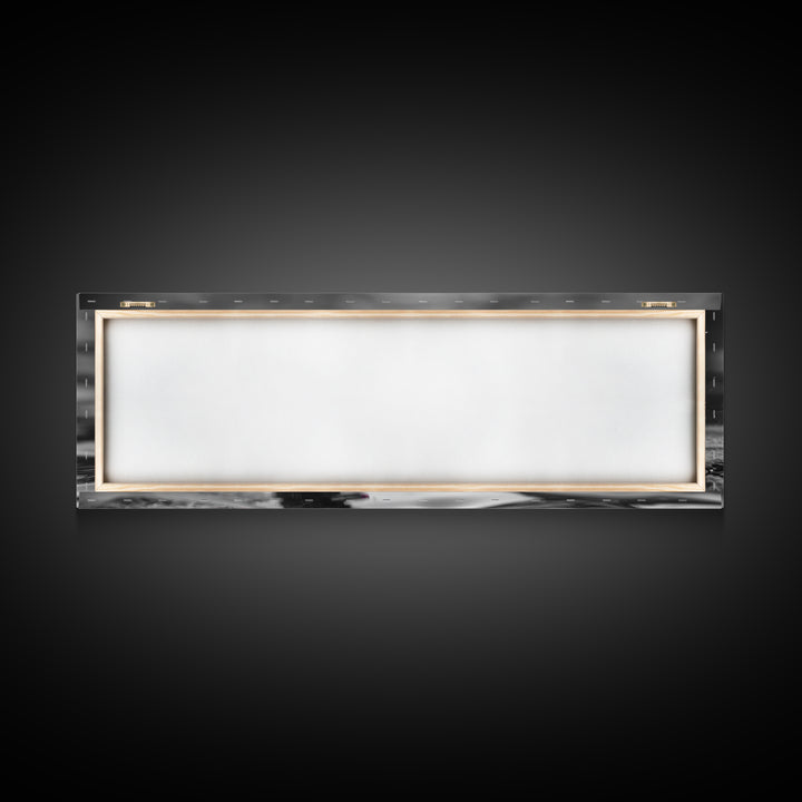 Colorful Loon, Rainbow Feathers, Water Splash, Unique Wildlife, Framed Canvas Print, Bathroom Wall Art, Eclectic Style, Birdwatcher Gift