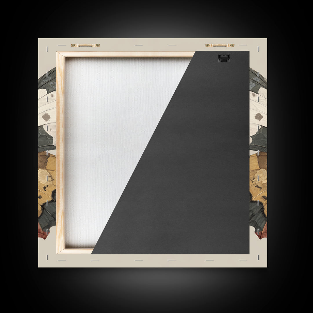 Butterfly Specimen Composition Framed Canvas Print, Animal Art, Original Art, Living Room Decor, Creature, Trendy Wall Art, ANI-1x1-47