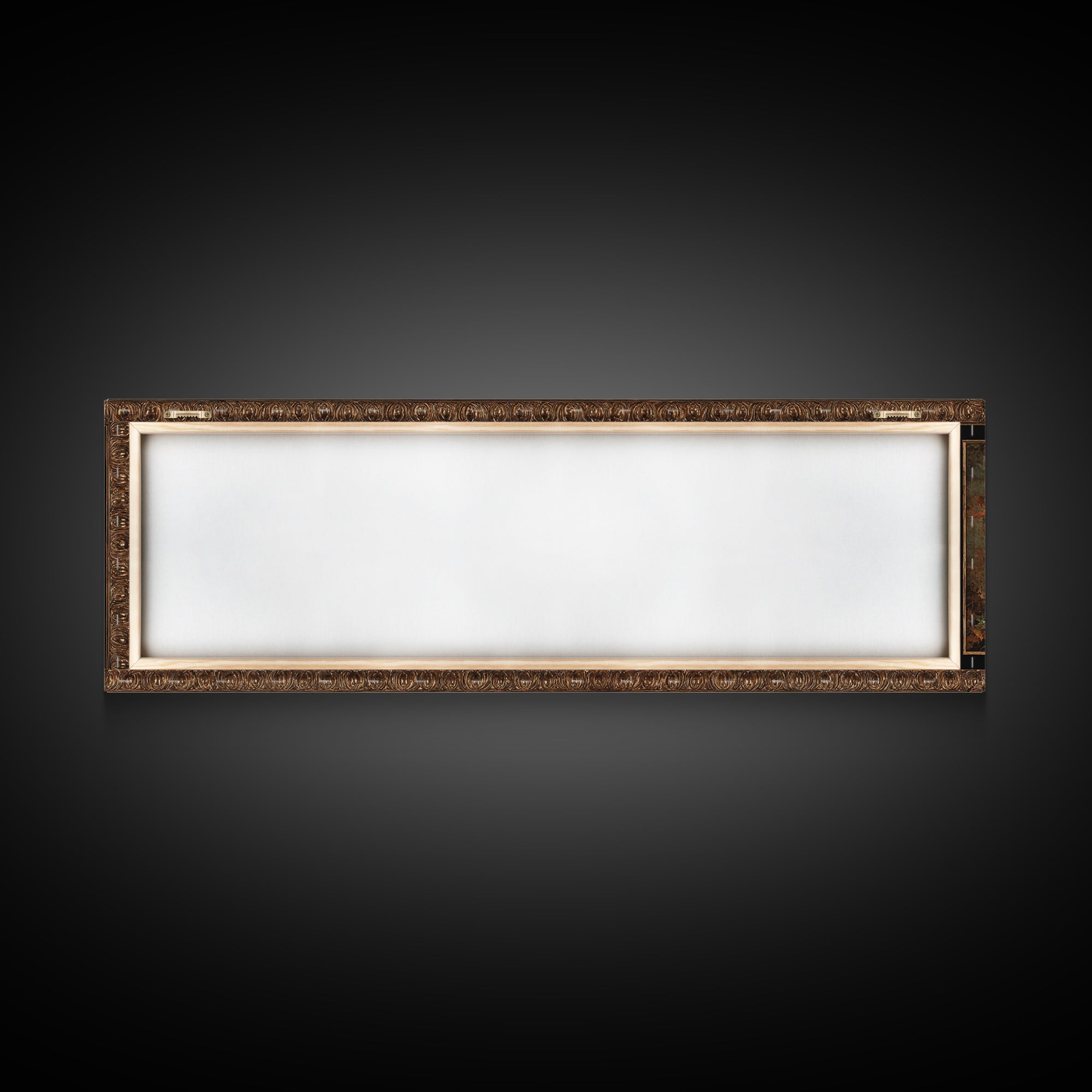 Ornate Gold Frame Illusion Around a Botanical Framed Canvas Print, Baroque Art, 3d Wall Art, Living Room Decor, Oil Painting, BAO-3x1-73