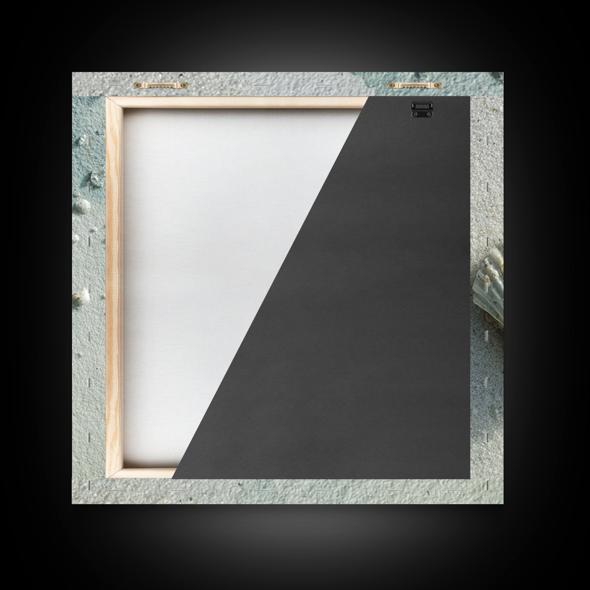 Minimal Seashell Still Life on Pale Sand Canvas Print, Bathroom Art, Gallery Decor, Bathroom Decor, Spa, Minimalist Decor, BAT-1x1-75