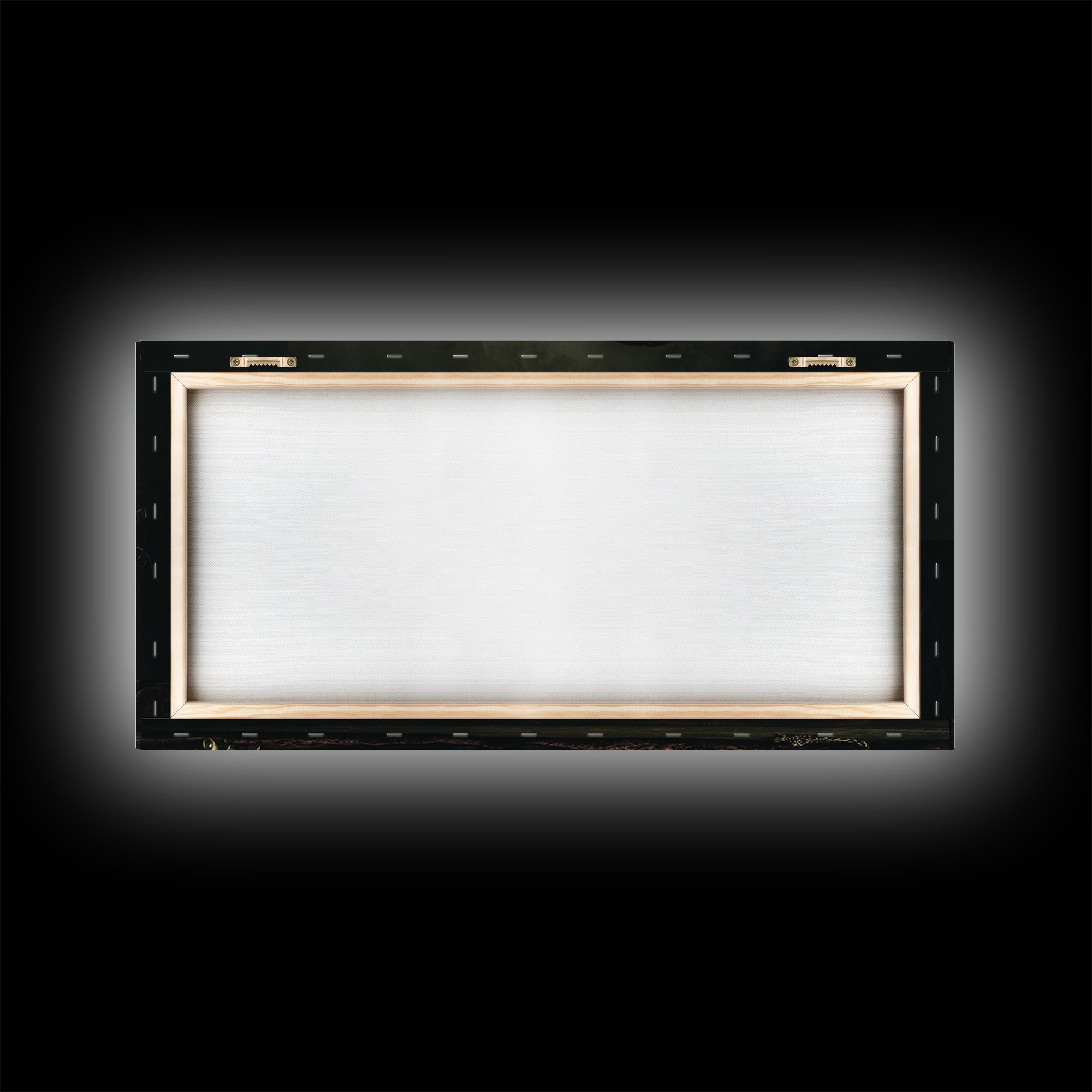 Vampire Inspired Portrait with Pale Dramatic Light Framed Canvas Print, Dark Art, Goth Decor, Living Room Decor, Nocturne, DAR-2x1-81