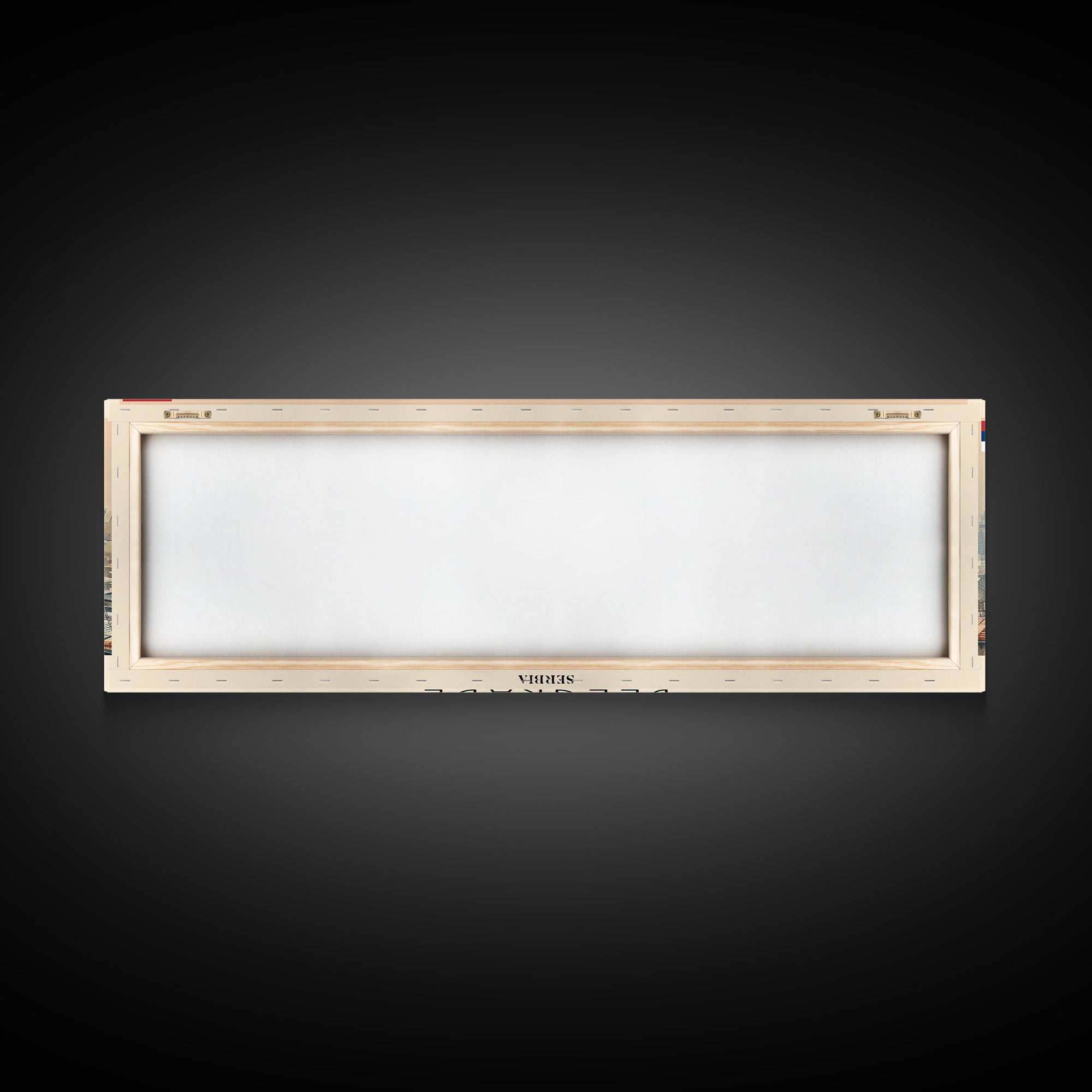 Belgrade Serbia Panoramic Travel Poster, Framed Canvas Print or Metal Wall Art, Travel Art, Home Decor, Panoramic Painting, Midcentury Art