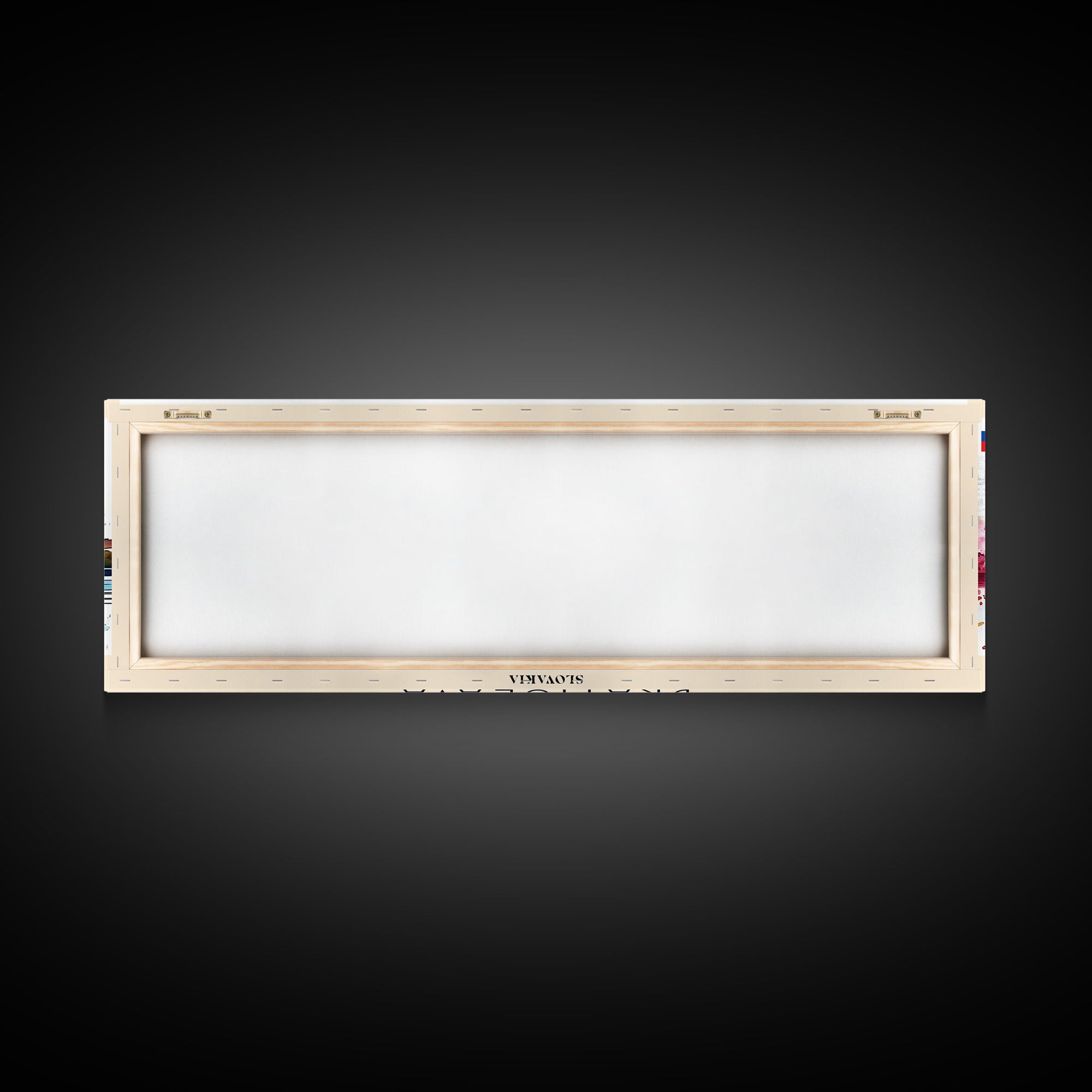 Bratislava Slovakia Wall Art, Panoramic Travel Poster, Panoramic Framed Canvas Print, City Wall Art, Wall Hanging Home Decor, Travel Art