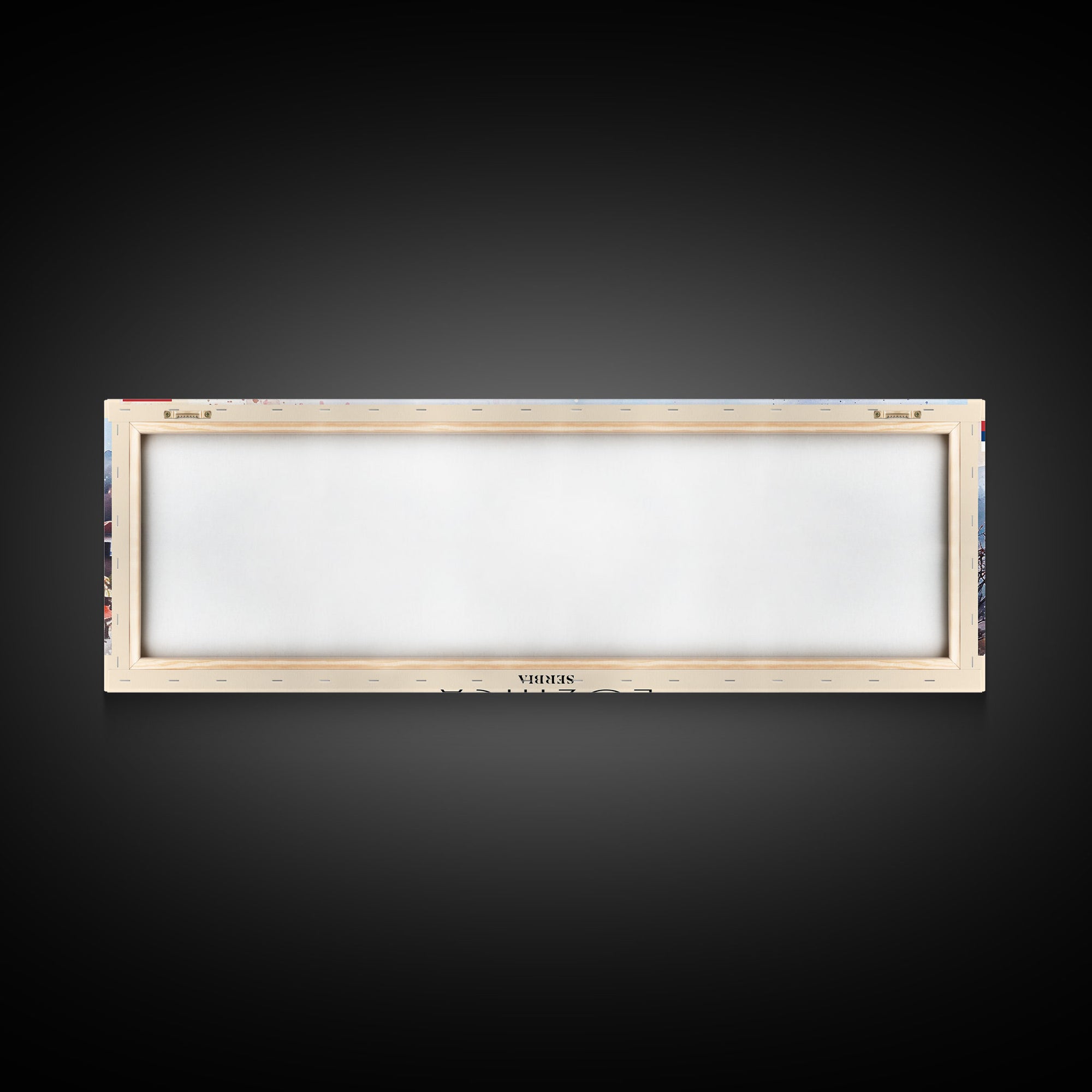 Loznica Serbia Wall Art, Panoramic Travel Poster, Panoramic Framed Canvas Print, City Wall Art, Wall Hanging Home Decor, Travel Art