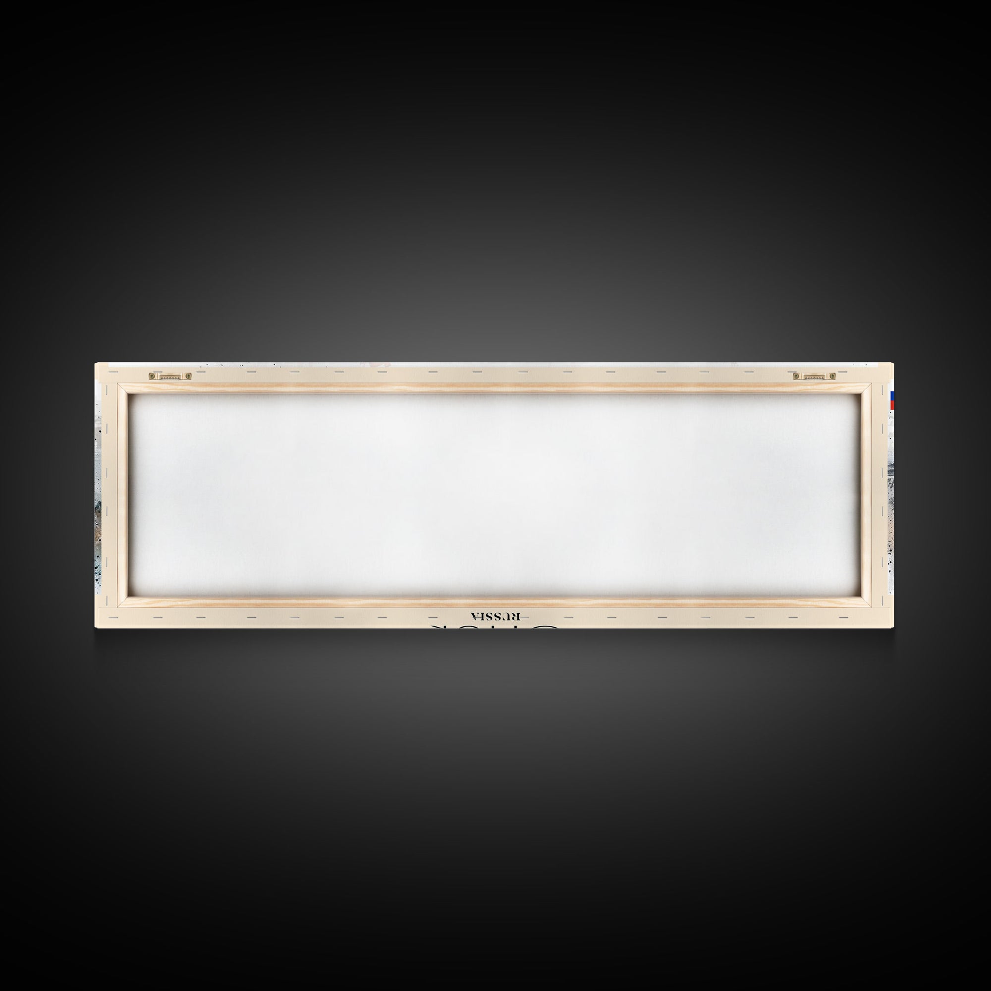 Omsk Russia Wall Art, Panoramic Travel Poster, Panoramic Framed Canvas Print, City Wall Art, Wall Hanging Home Decor, Travel Art