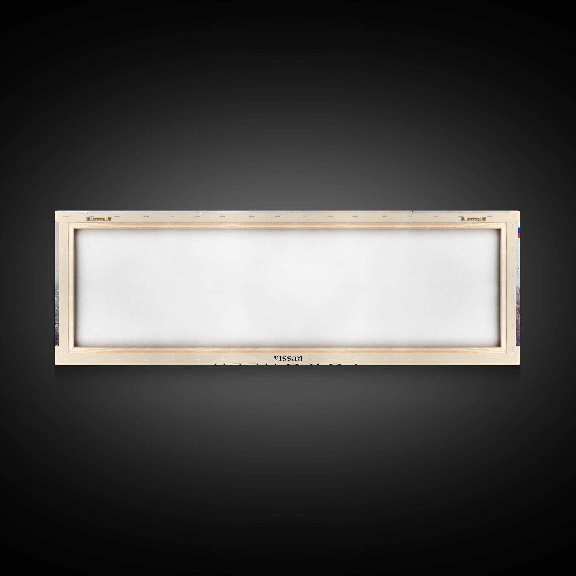 Voronezh Russia Panoramic Travel Poster, Framed Canvas Print or Metal Wall Art, Travel Art, Home Decor, Panoramic Painting, Midcentury Art