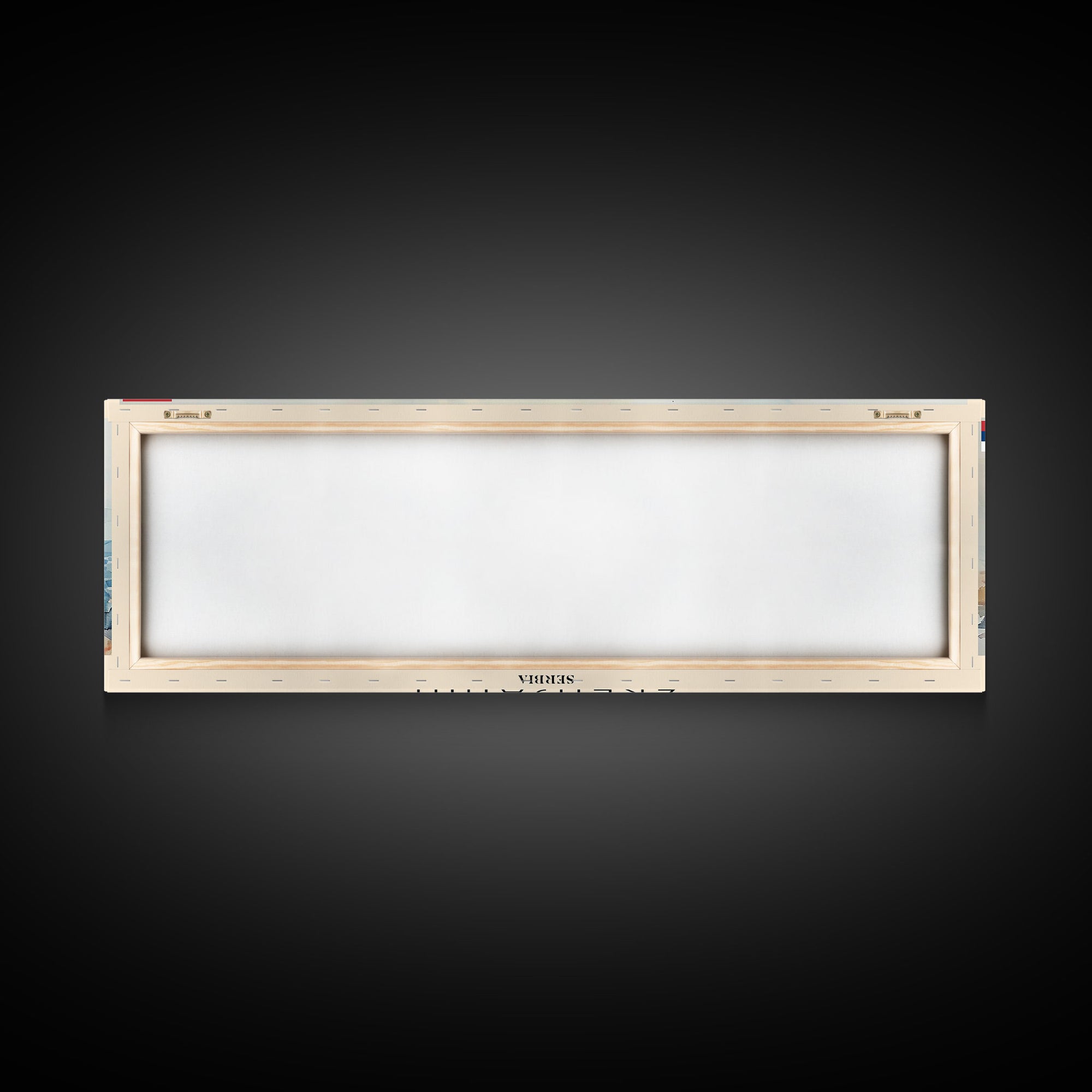 Zrenjanin Serbia Wall Art, Panoramic Travel Poster, Panoramic Framed Canvas Print, City Wall Art, Wall Hanging Home Decor, Travel Art