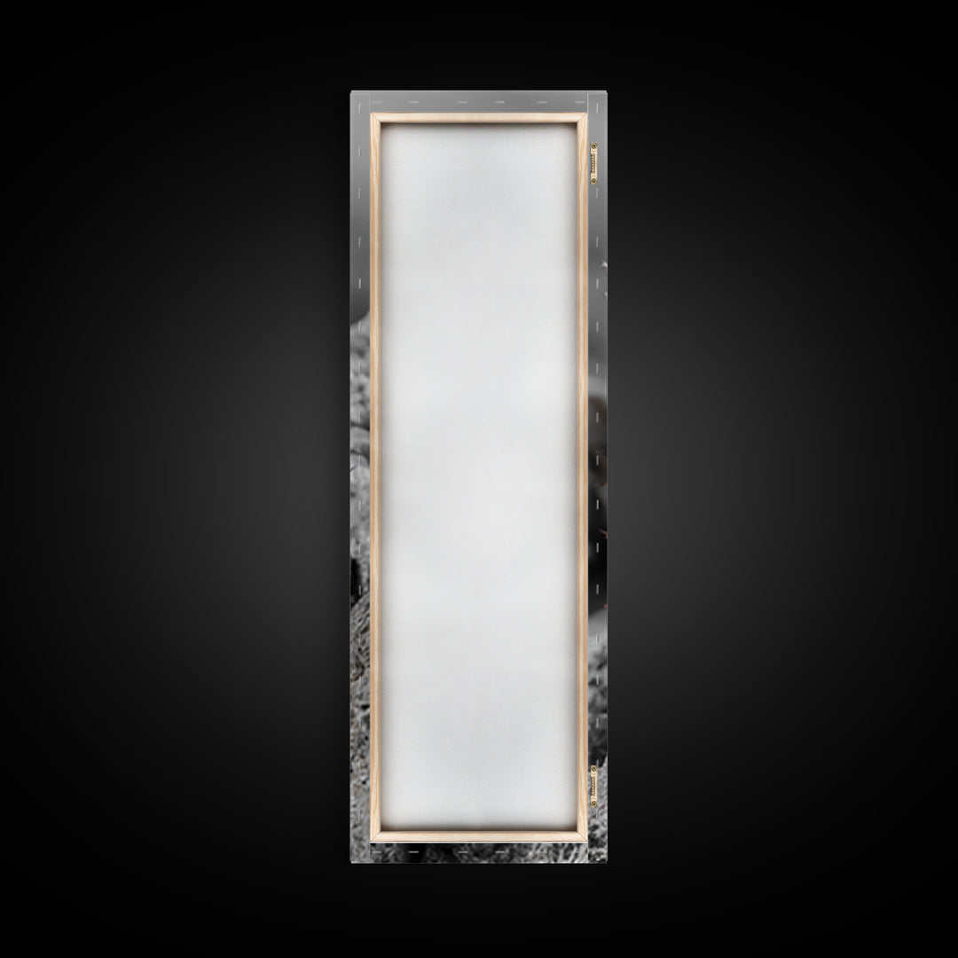 Cactus Bloom Desert Art Framed Canvas Print | Southwest Wall Art | Wildflower Painting | Botanical Prints | Boho Art | Nature Decor | Gift Idea