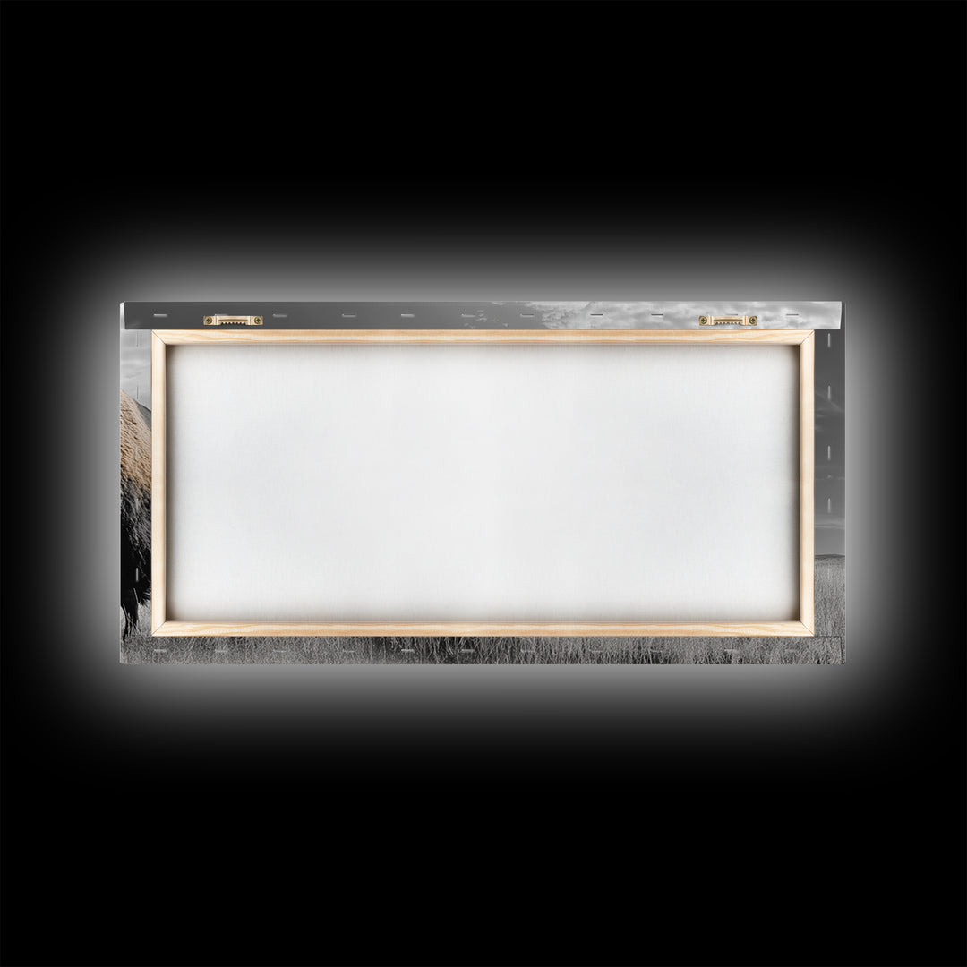 Buffalo Wall Art Canvas Print | Rustic Farmhouse Decor | Western Landscape Art | Moody Wall Art | Extra Wide Art | Nature Lover Gift