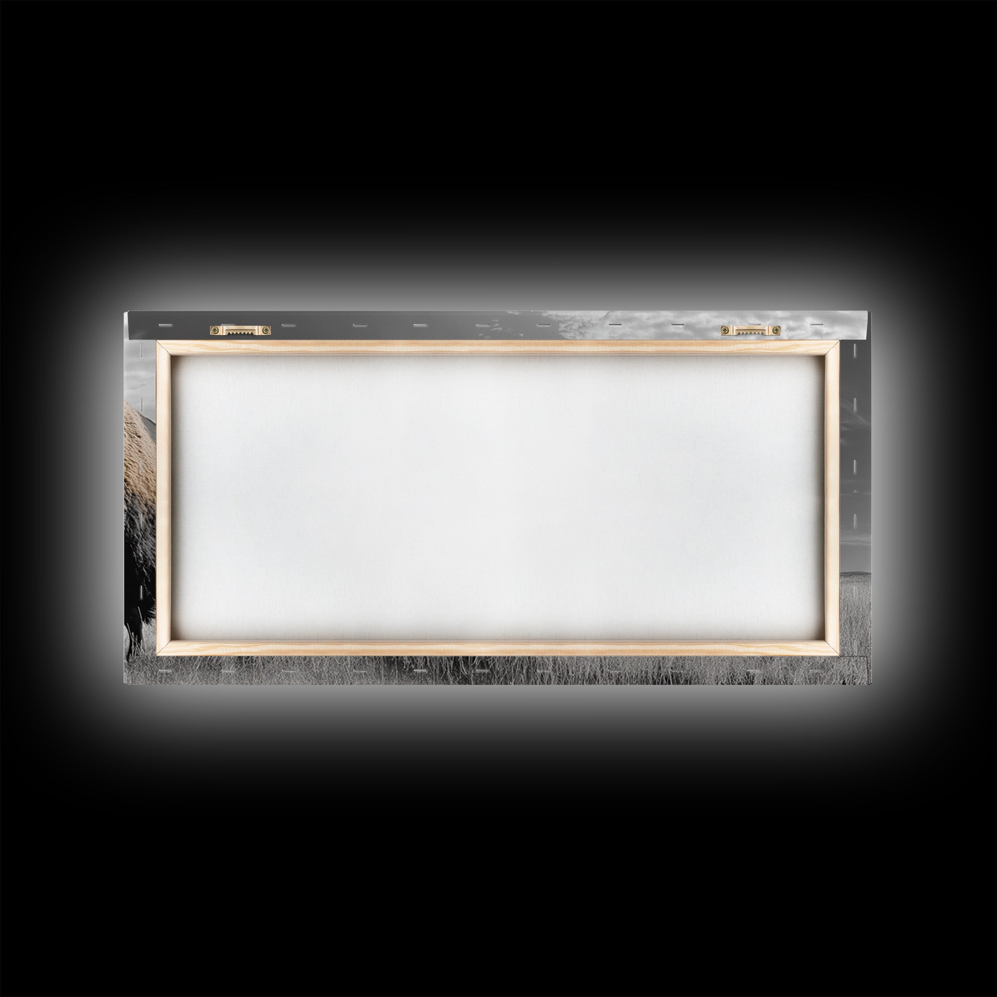 Buffalo Wall Art Canvas Print | Rustic Farmhouse Decor | Western Landscape Art | Moody Wall Art | Extra Wide Art | Nature Lover Gift