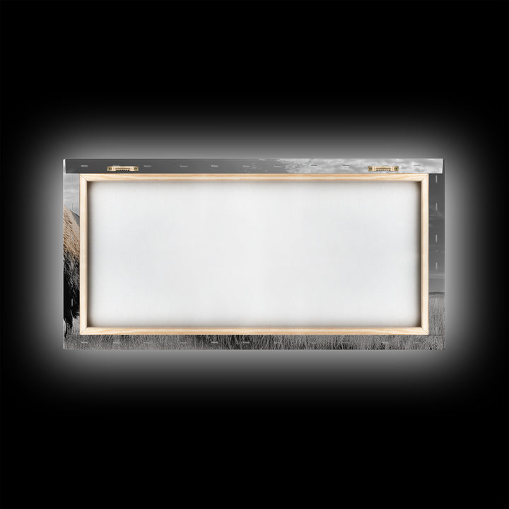 Buffalo Wall Art Canvas Print | Rustic Farmhouse Decor | Western Landscape Art | Moody Wall Art | Extra Wide Art | Nature Lover Gift