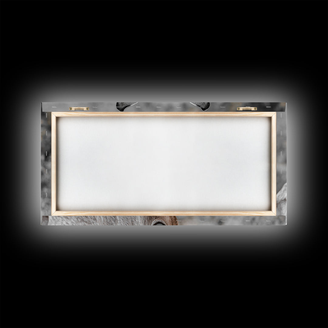 Donkey Close-Up Framed Canvas Print | Rustic Farmhouse Art | Moody Animal Portrait | Southwest Wall Art | Extra Wide Art | Above Couch Decor