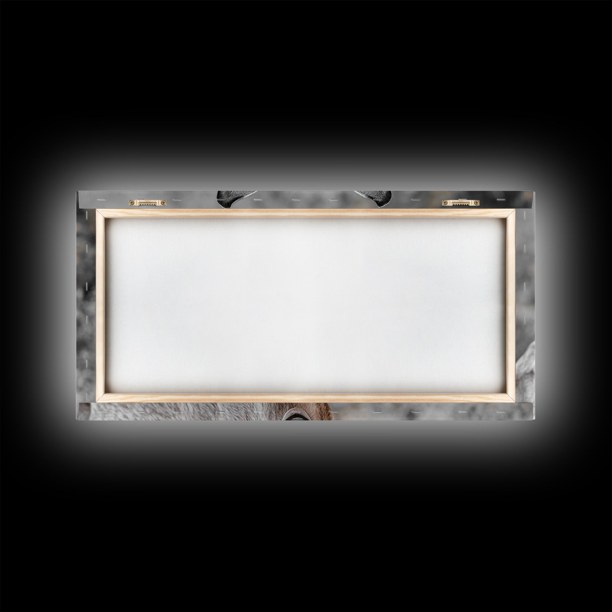 Donkey Close-Up Framed Canvas Print | Rustic Farmhouse Art | Moody Animal Portrait | Southwest Wall Art | Extra Wide Art | Above Couch Decor