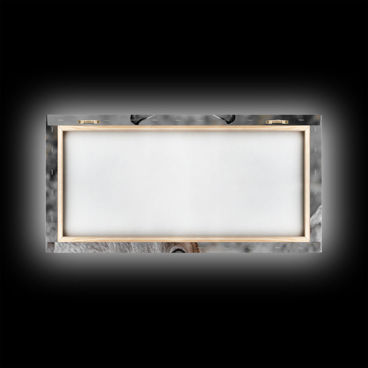 Donkey Close-Up Framed Canvas Print | Rustic Farmhouse Art | Moody Animal Portrait | Southwest Wall Art | Extra Wide Art | Above Couch Decor