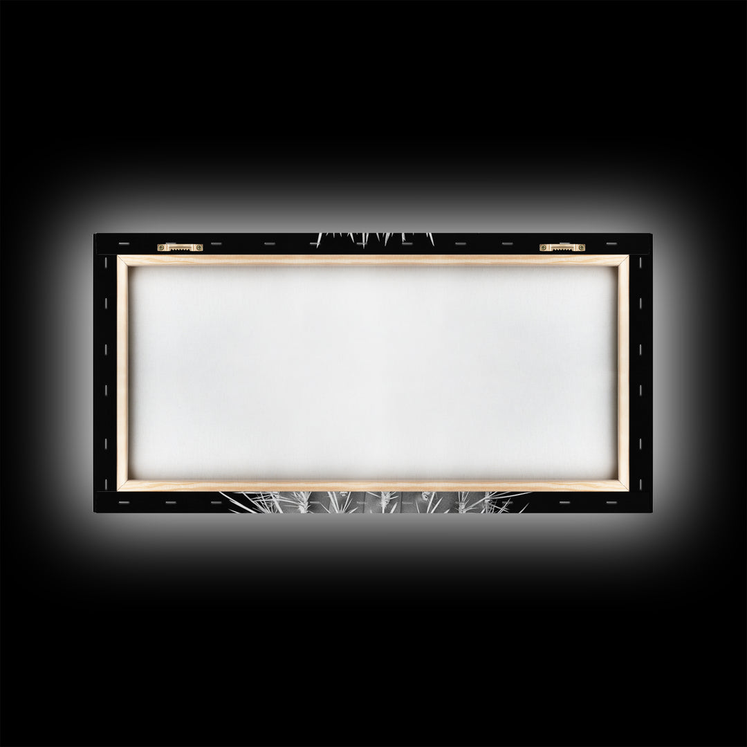 Cactus Spines, southwest wall art, desert art, botanical prints, geometric wall art, nature photography, sharp contrast, Framed Canvas Print