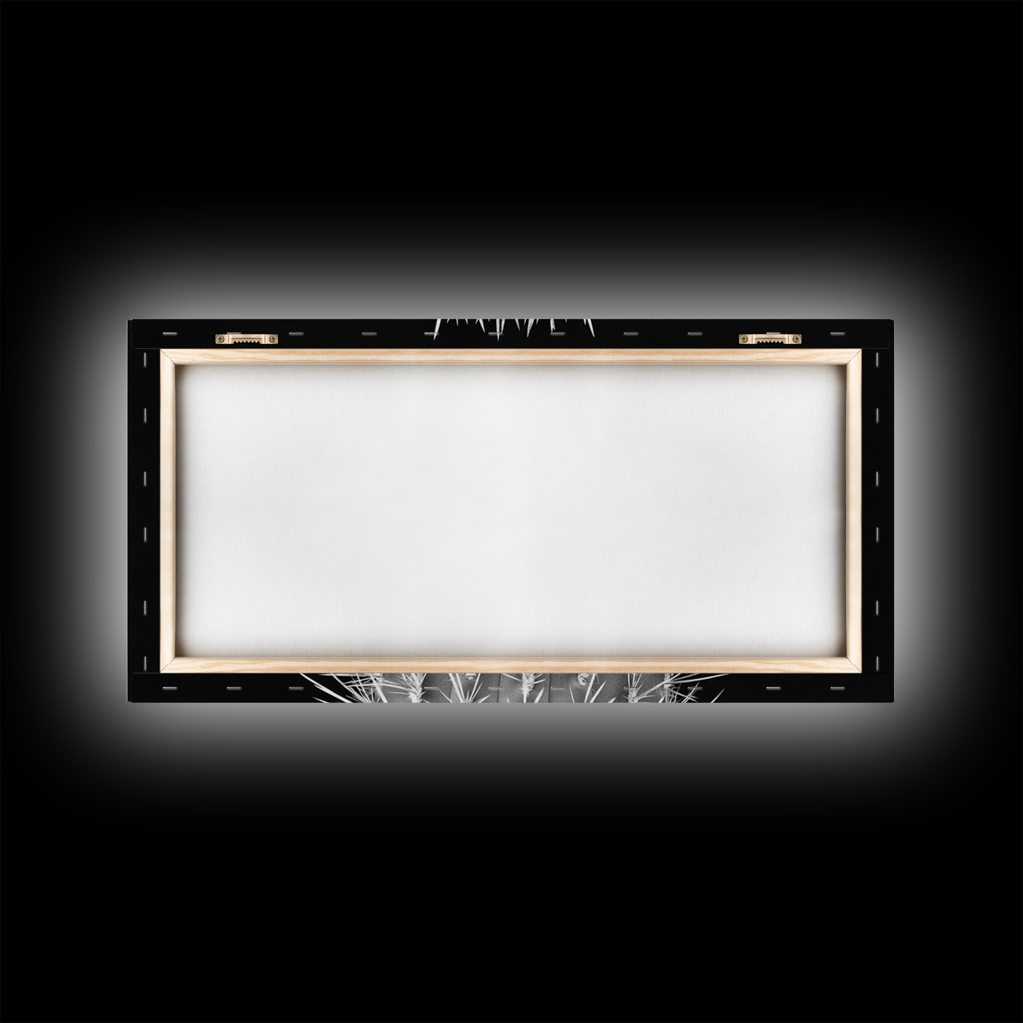 Cactus Spines, southwest wall art, desert art, botanical prints, geometric wall art, nature photography, sharp contrast, Framed Canvas Print