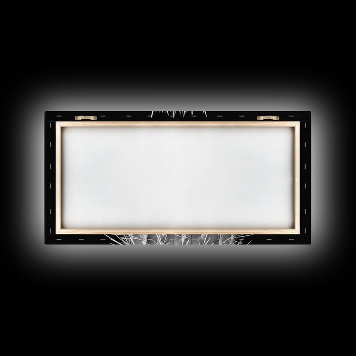 Cactus Spines, southwest wall art, desert art, botanical prints, geometric wall art, nature photography, sharp contrast, Framed Canvas Print