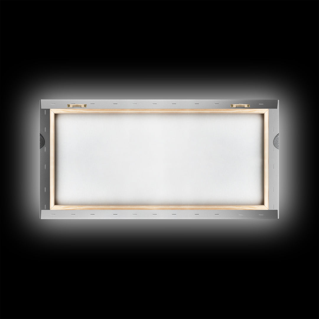 Dragonfly, line art, minimalist art, black and white art, nature painting, botanical prints, extra wide art, framed canvas print