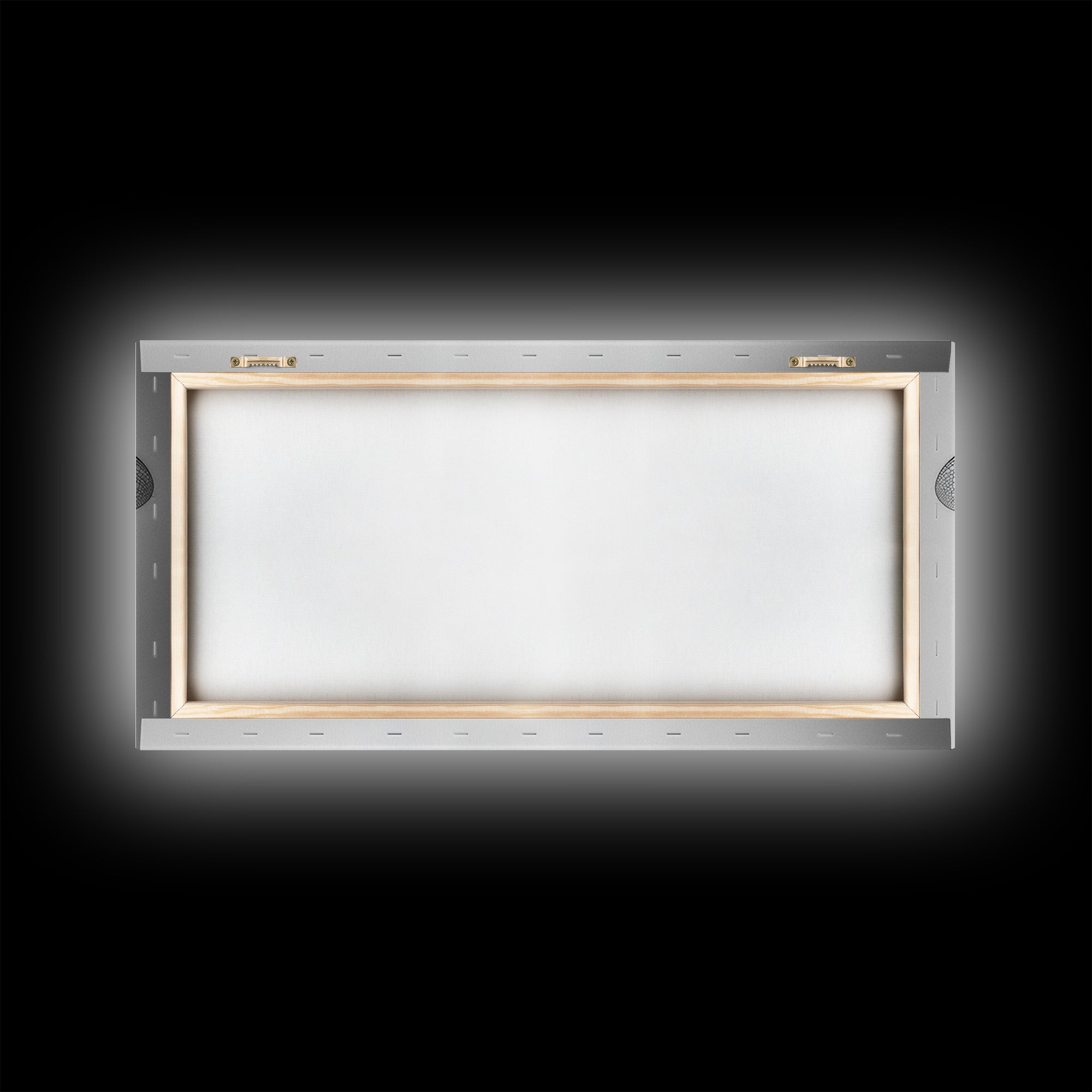 Dragonfly, line art, minimalist art, black and white art, nature painting, botanical prints, extra wide art, framed canvas print