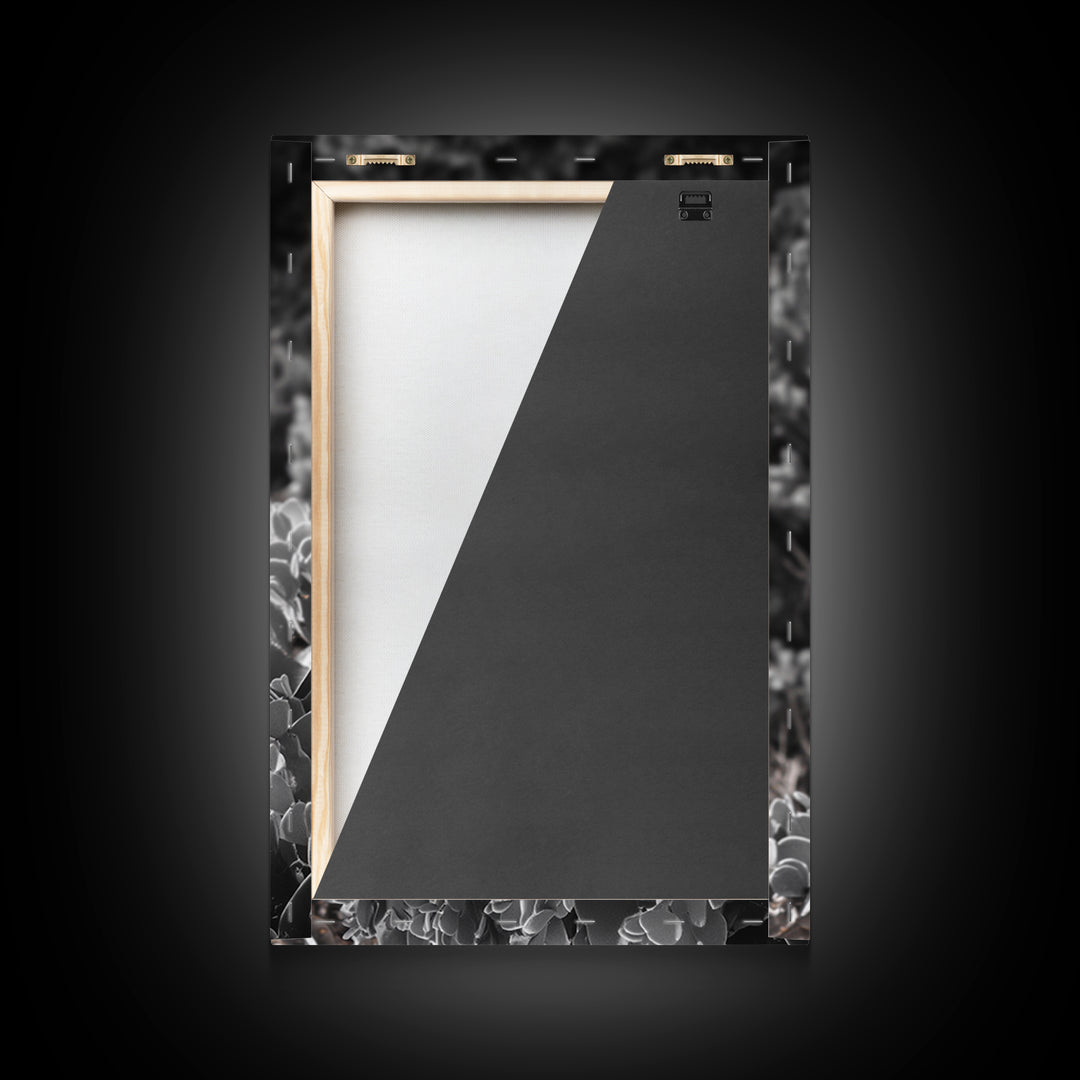 Desert cactus, southwest wall art, Joshua tree art, framed canvas print, botanical prints, rustic boho decor, floral desert painting