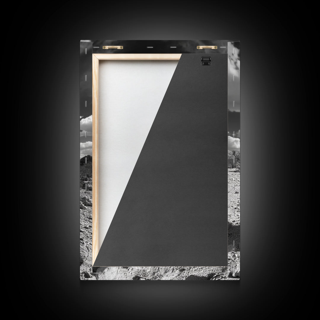 Desert Bloom, Wildflower Painting, Botanical Prints, Rustic Art, Southwest Wall Art, Nature Decor, Framed Canvas Print, Gift Idea